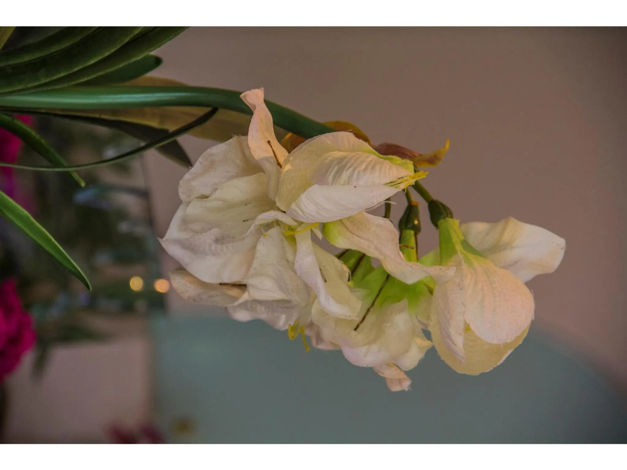 Decorative detail in La Loggia Bed and Breakfast