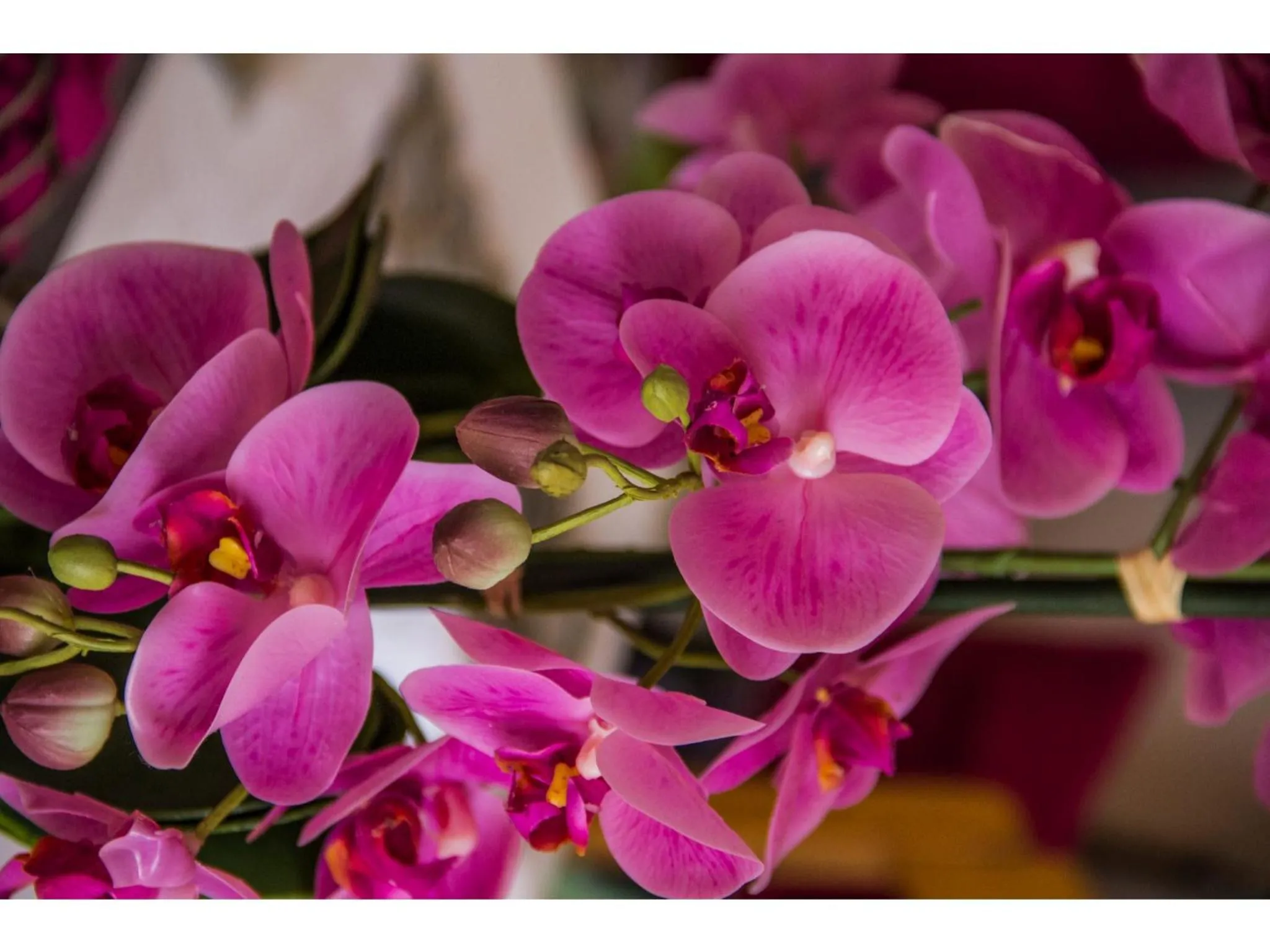 Lobby or reception in La Loggia Bed and Breakfast