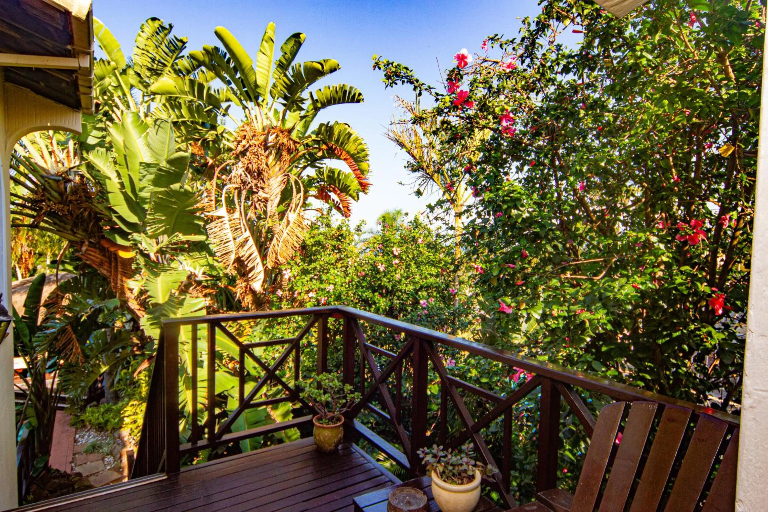 Garden in La Loggia Bed and Breakfast