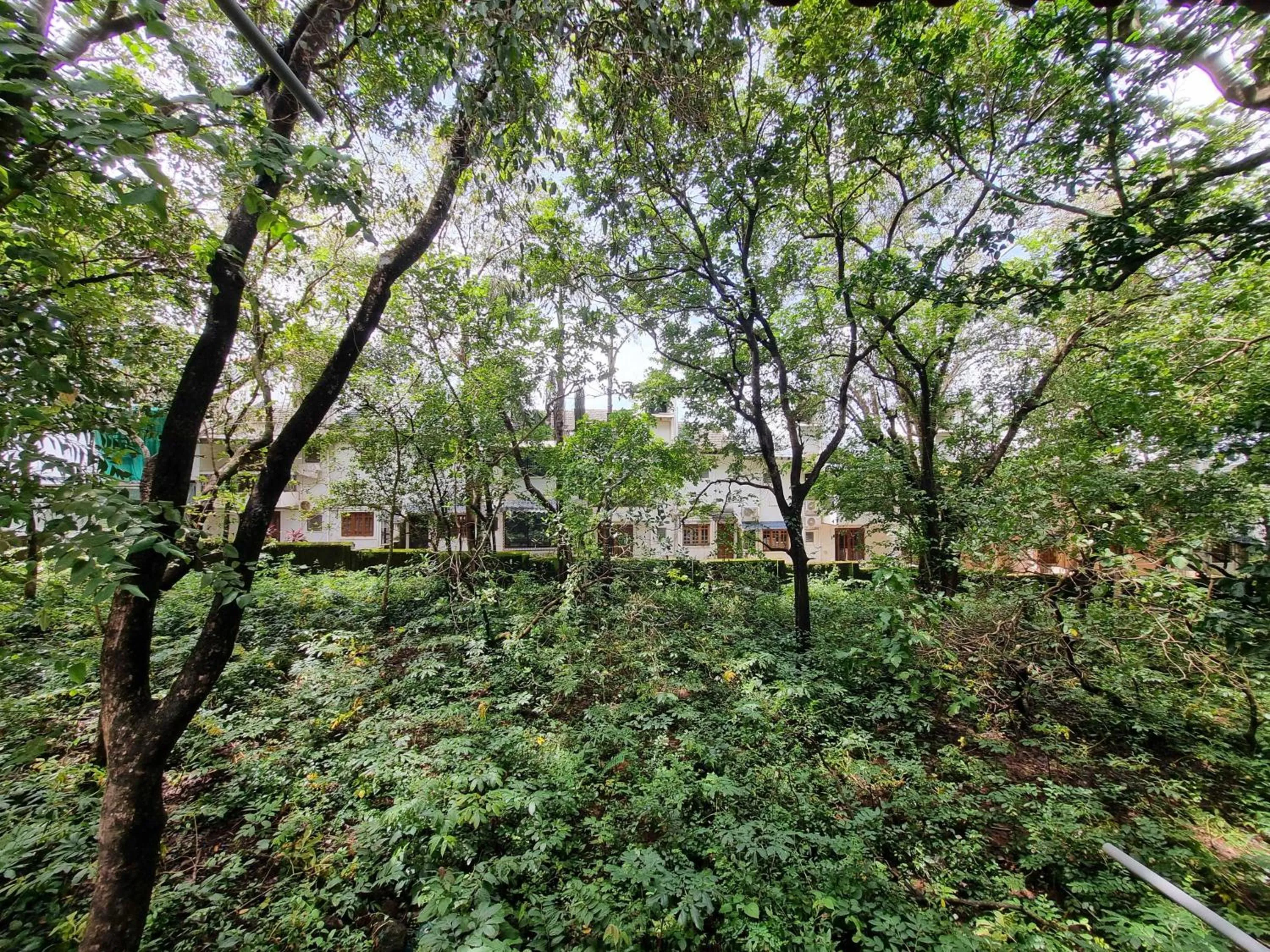 Garden in Sereno By Dancenter - 1 BHK Apartment In Siolim