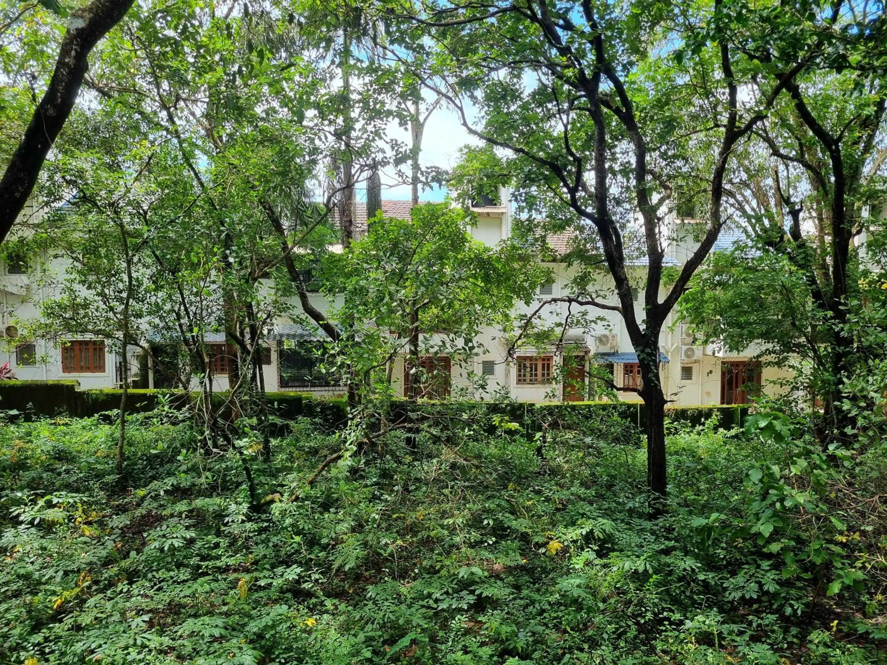 Garden view in Sereno By Dancenter - 1 BHK Apartment In Siolim