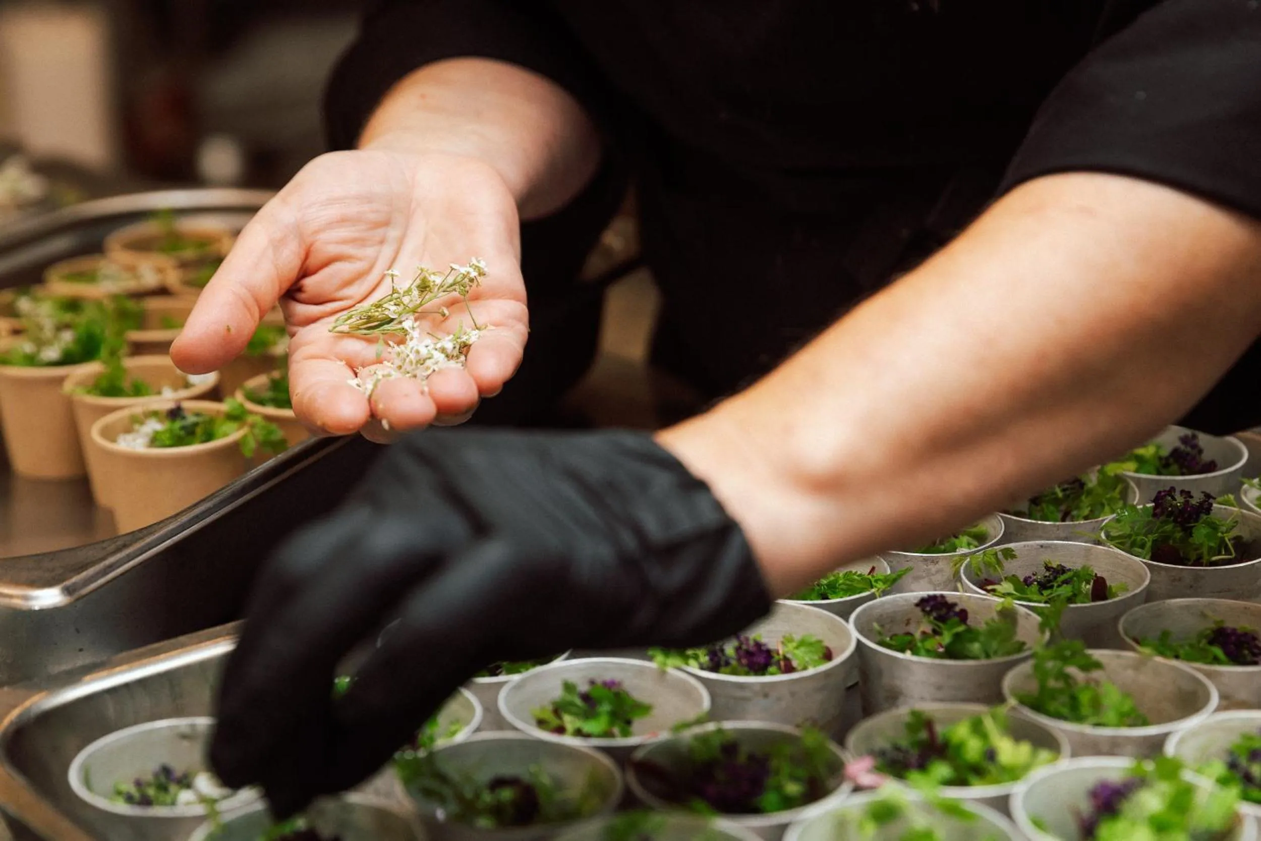 Engsholms Slott - Adults Only