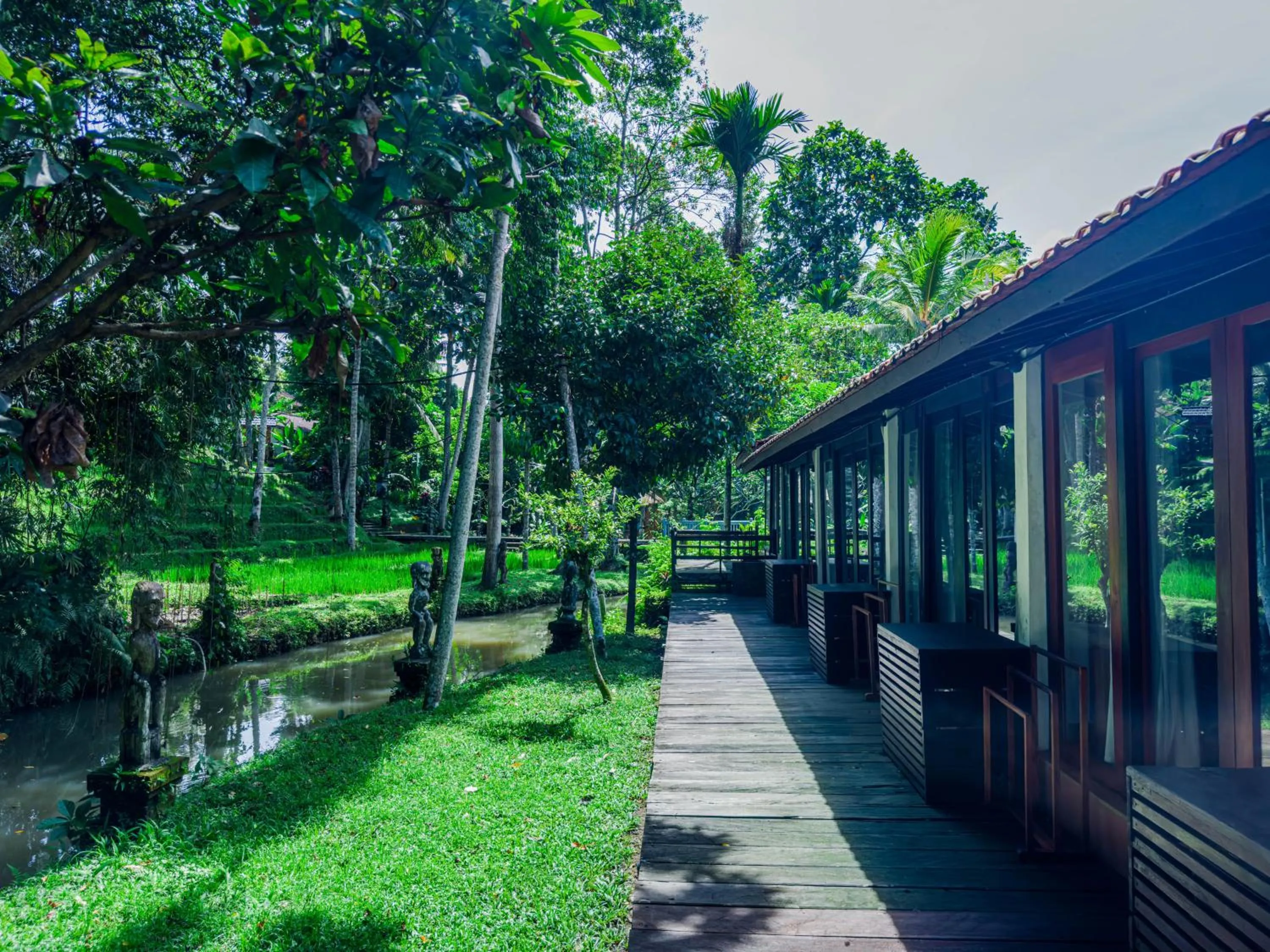 Natural landscape in Ubud Sari Health Resort