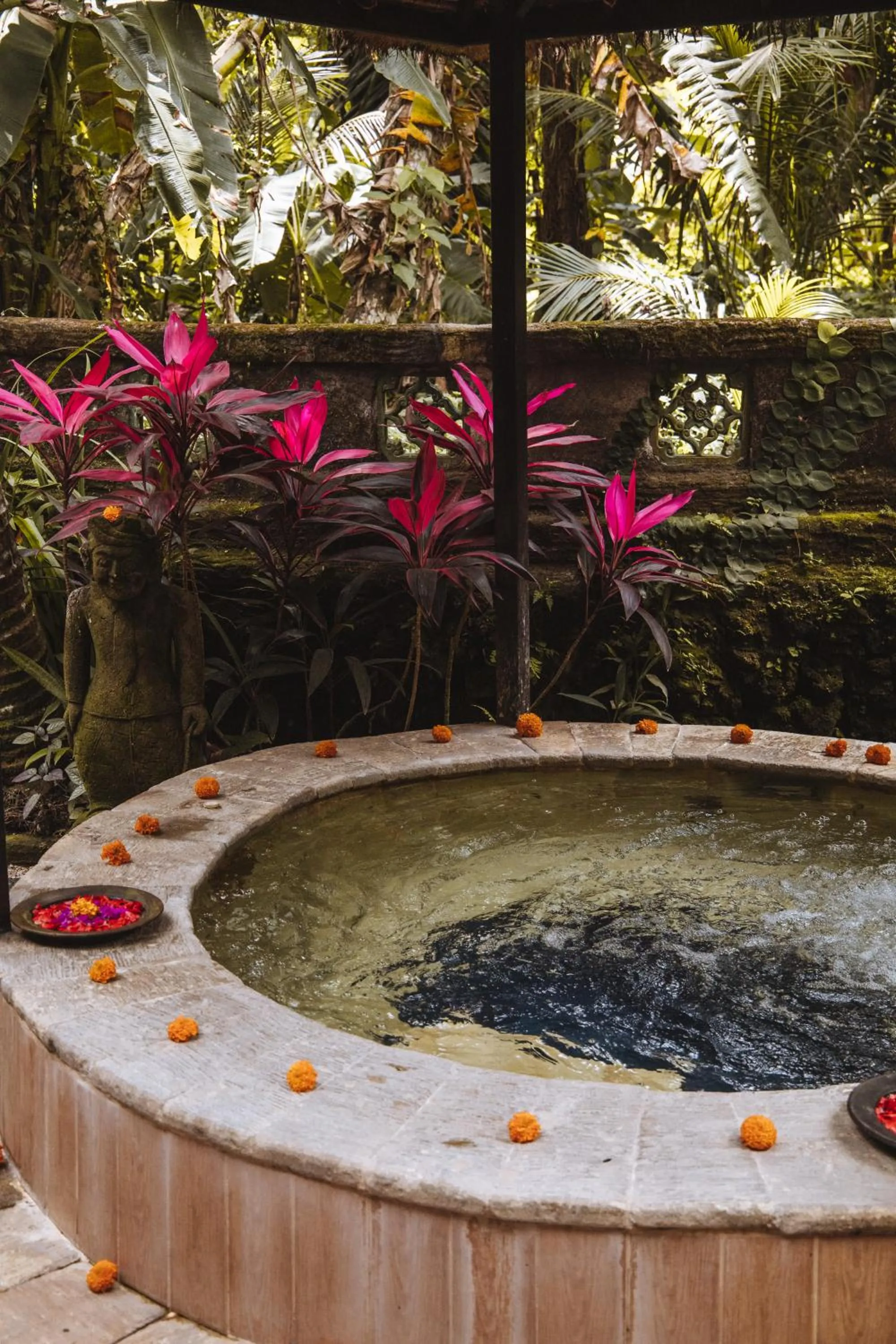 Natural landscape in Ubud Sari Health Resort