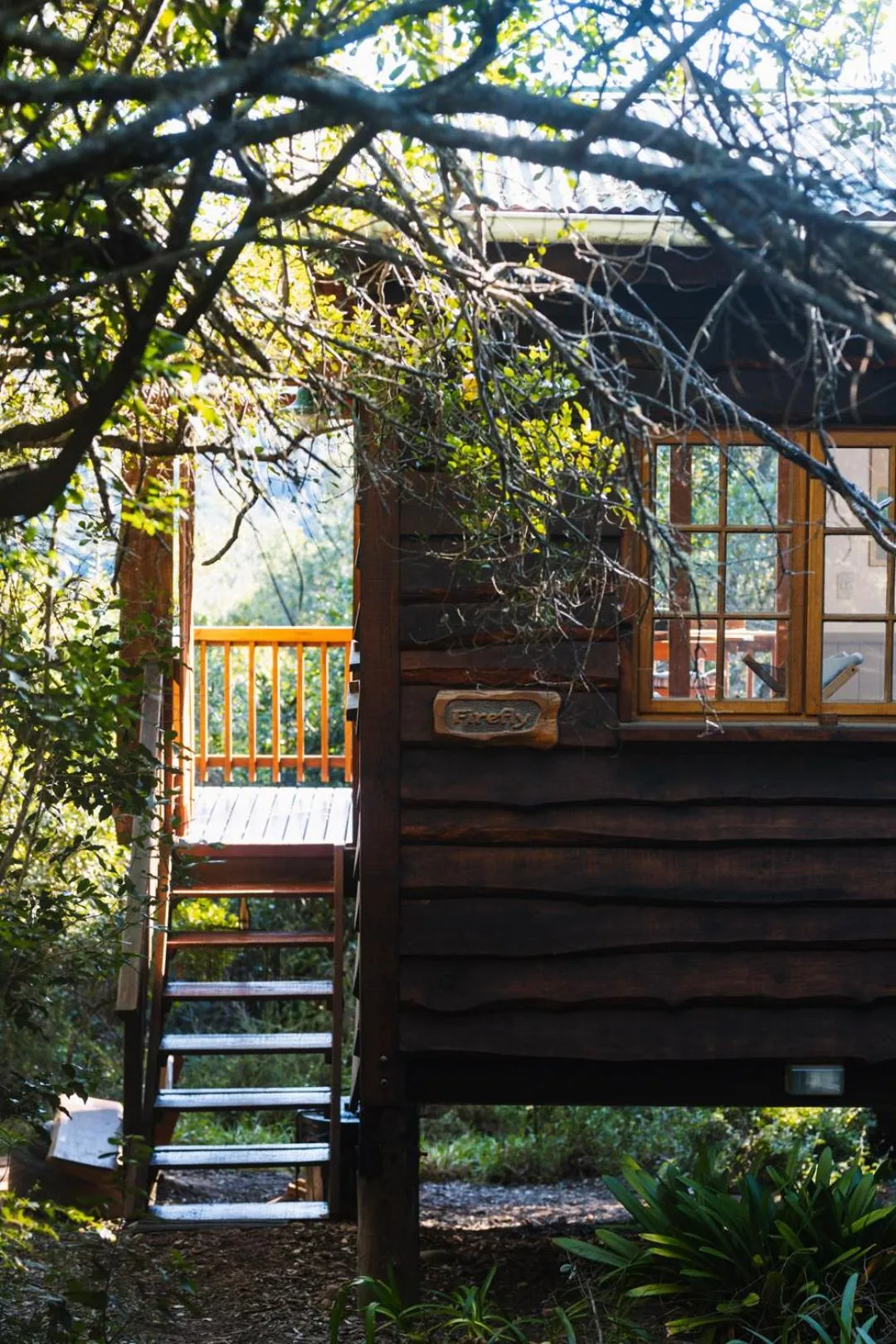 Property building in Moonshine on Whiskey Creek