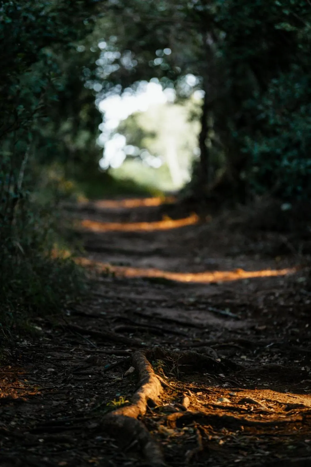 Natural landscape in Moonshine on Whiskey Creek