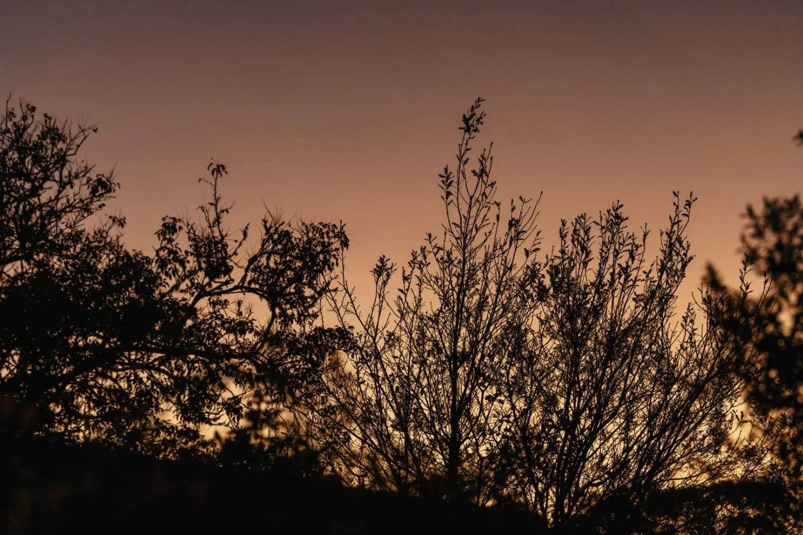 Natural landscape in Moonshine on Whiskey Creek