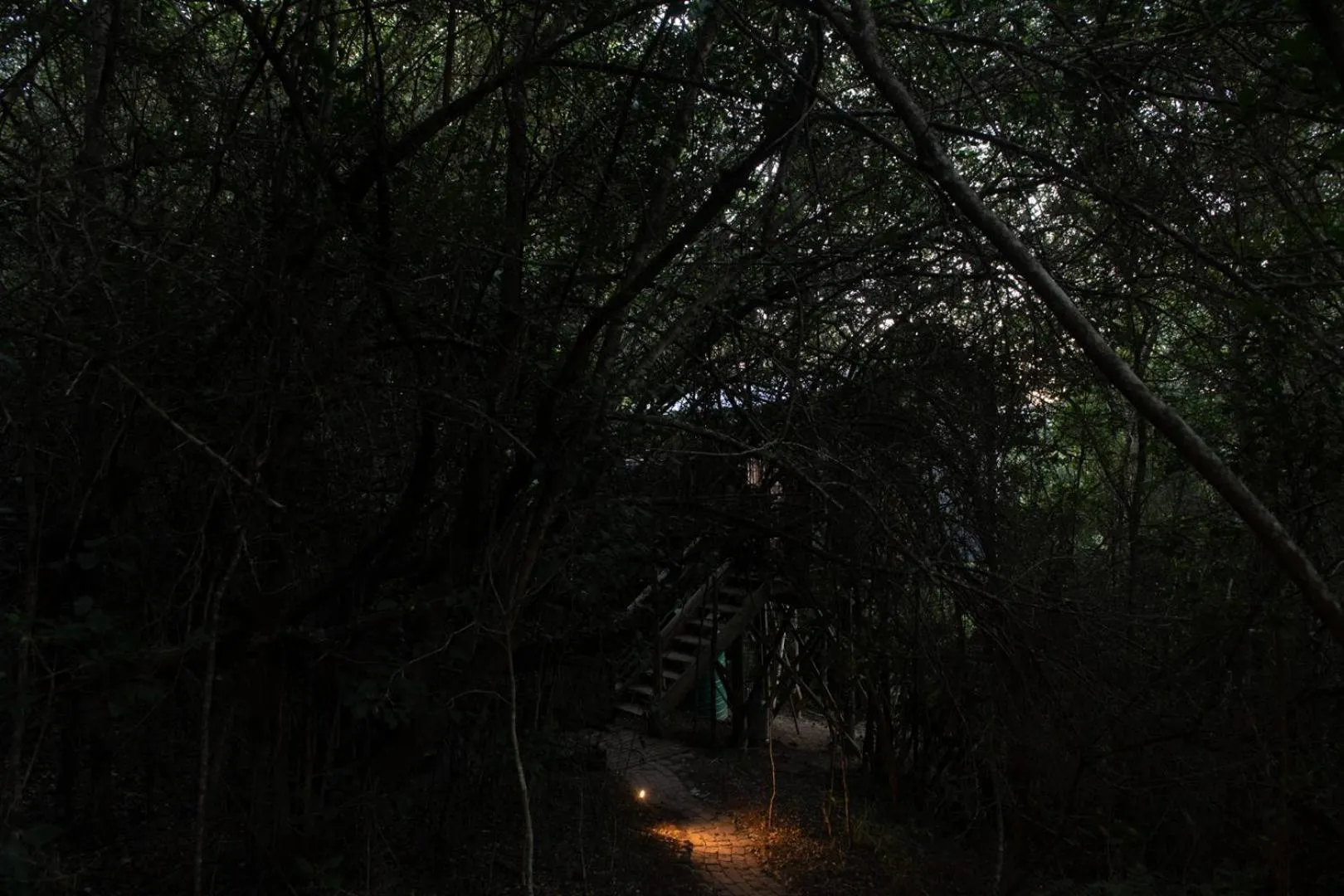 Natural landscape in Moonshine on Whiskey Creek