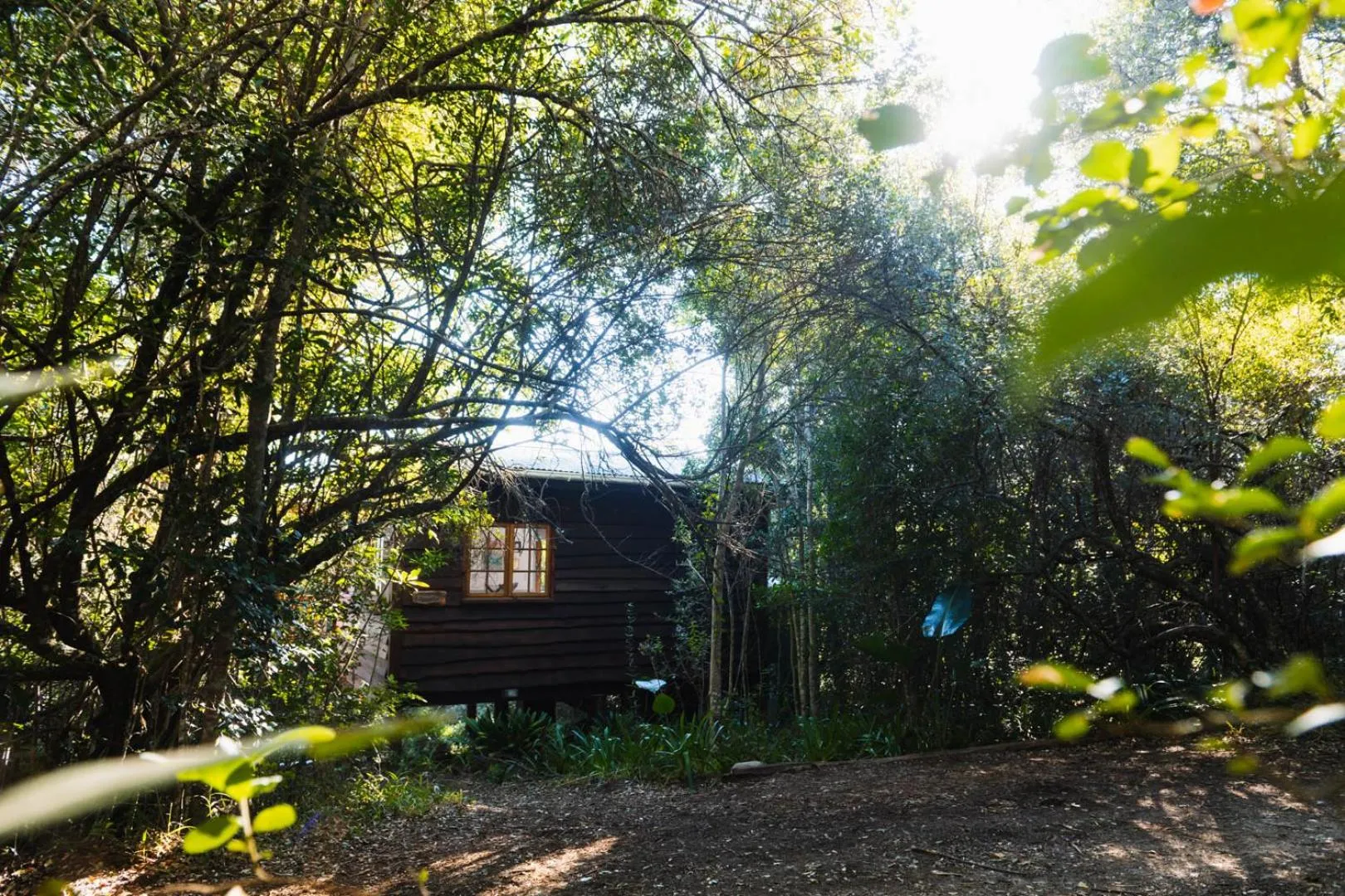 BBQ facilities in Moonshine on Whiskey Creek