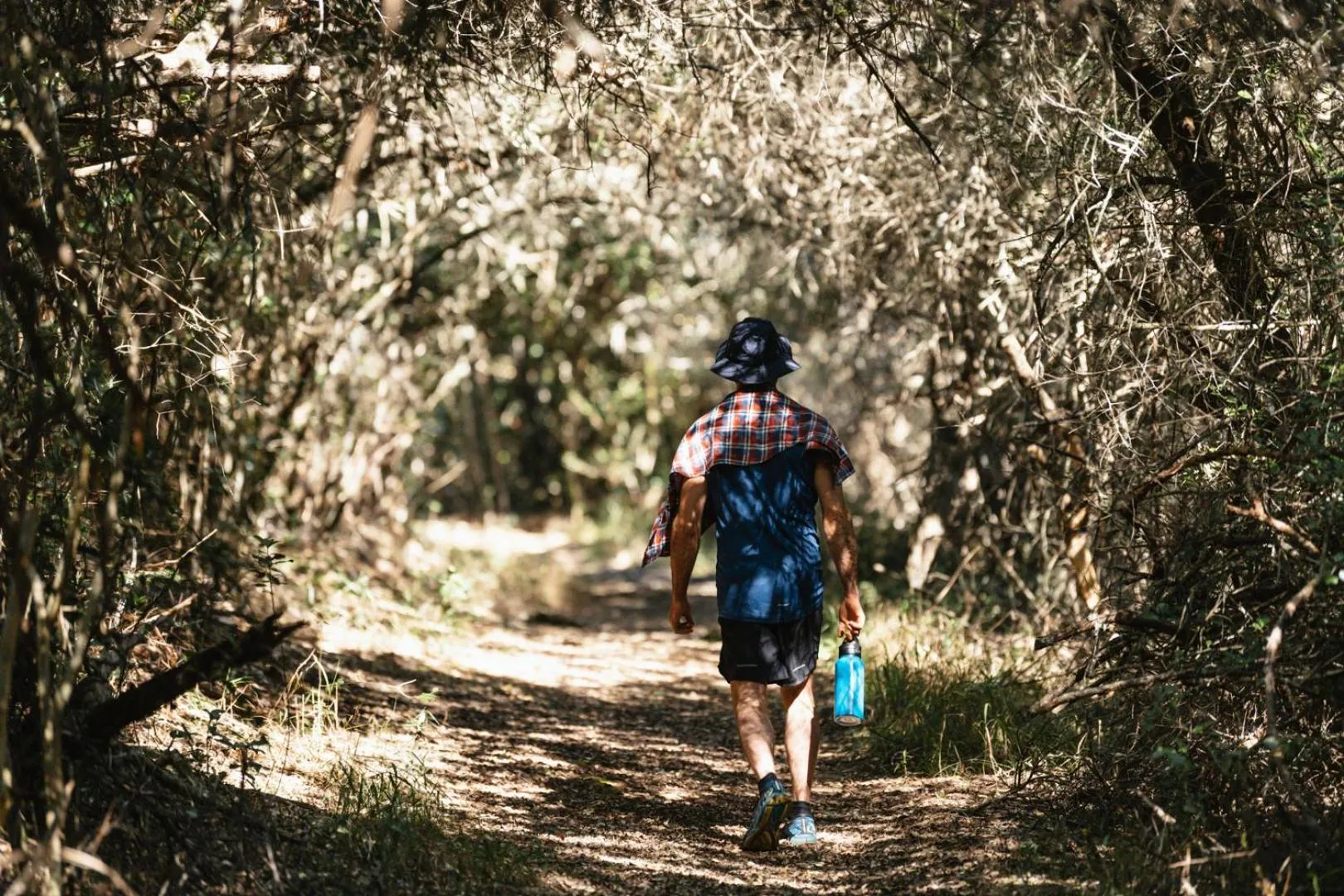 Natural landscape in Moonshine on Whiskey Creek