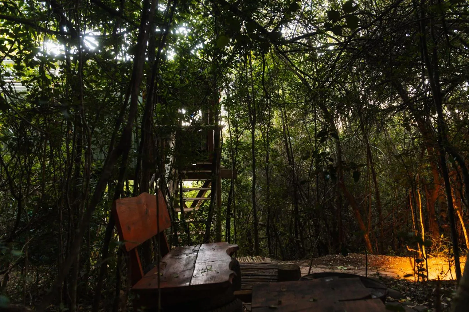 BBQ facilities in Moonshine on Whiskey Creek