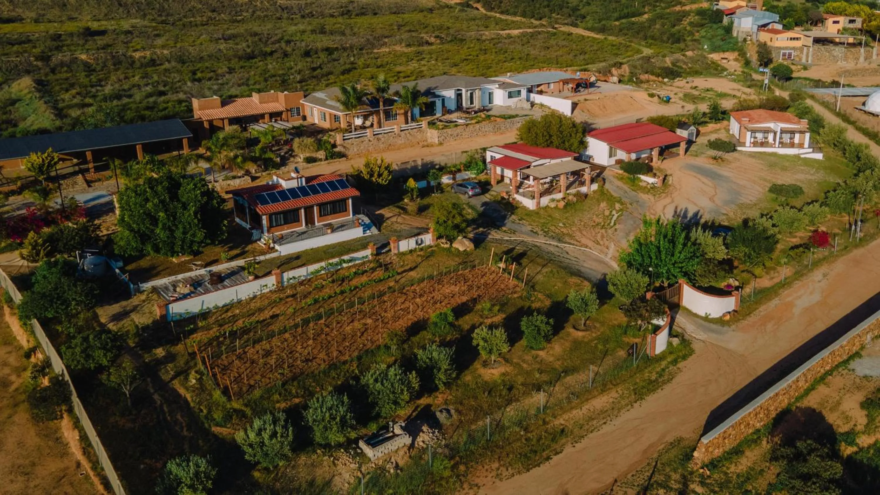 Bird's eye view in Quinta Sofia Valle de Guadalupe