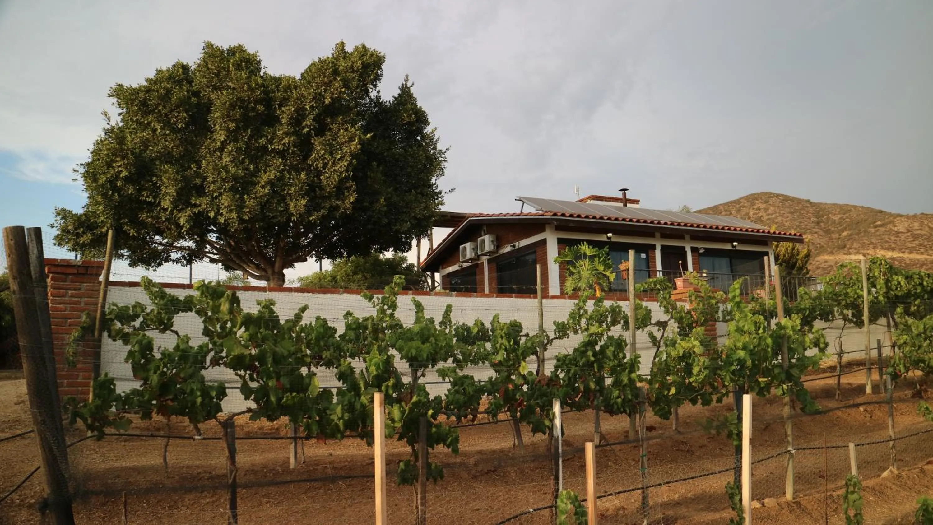 Spring in Quinta Sofia Valle de Guadalupe