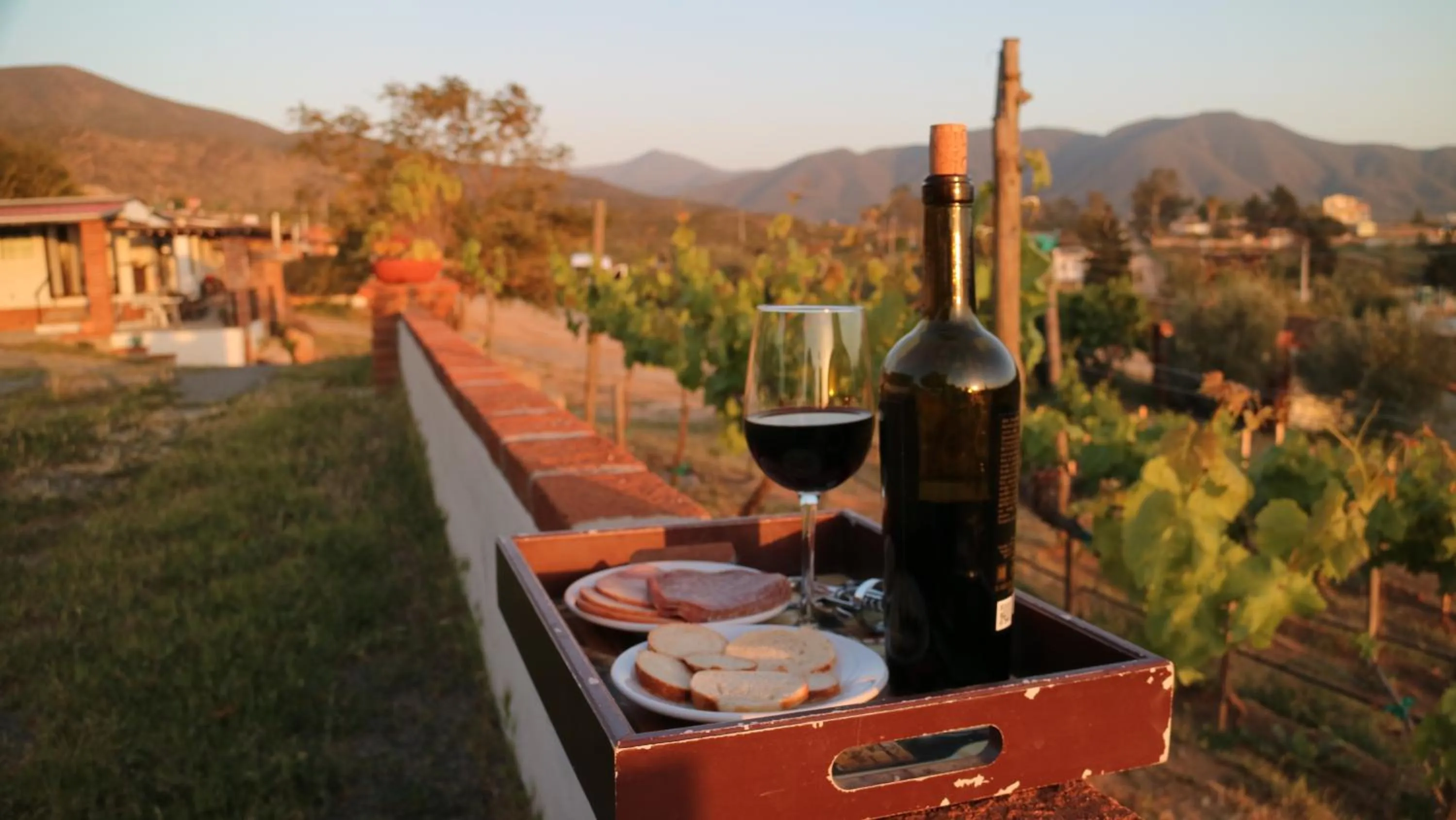 Natural landscape in Quinta Sofia Valle de Guadalupe