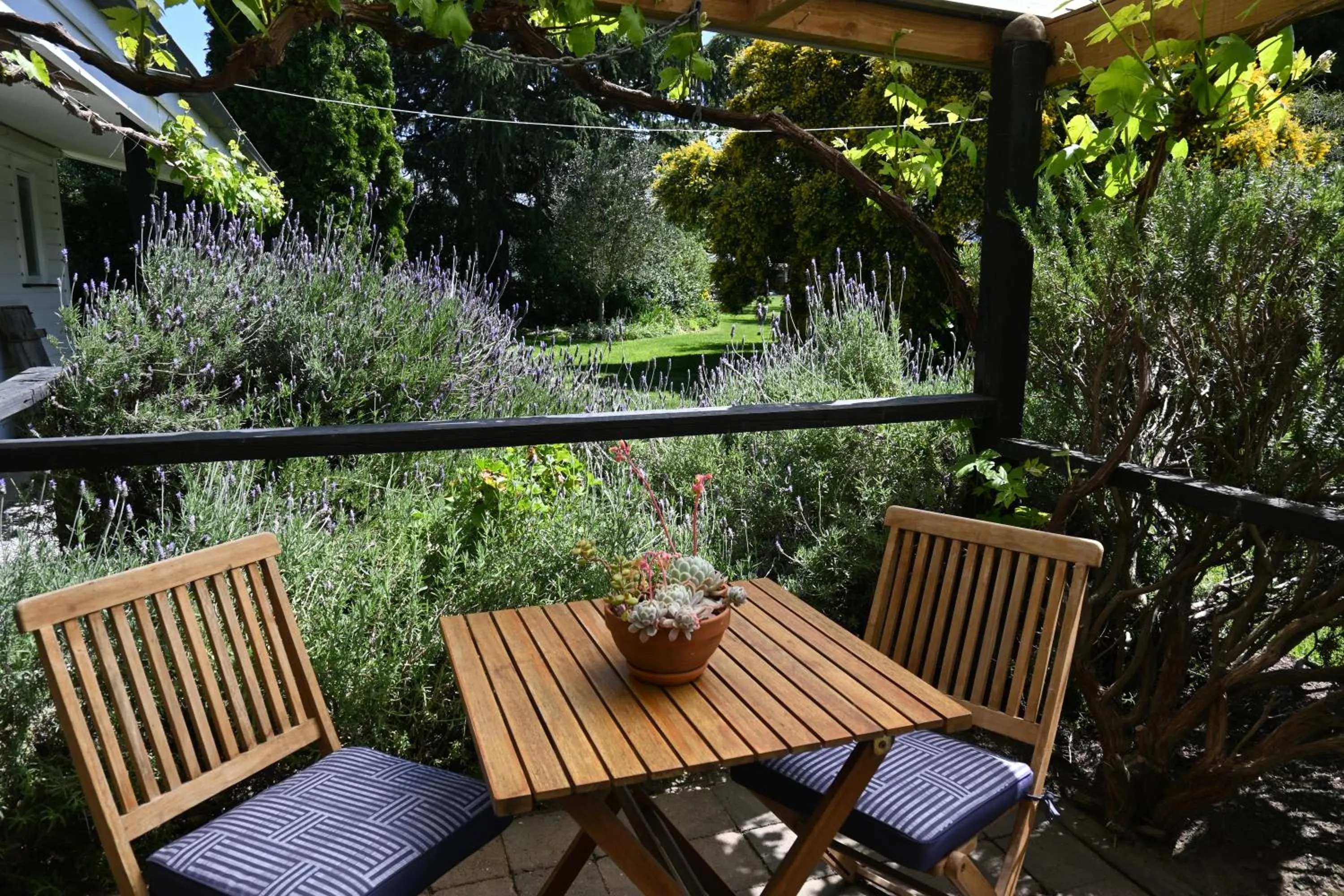 Garden in St Leonards Vineyard Cottages