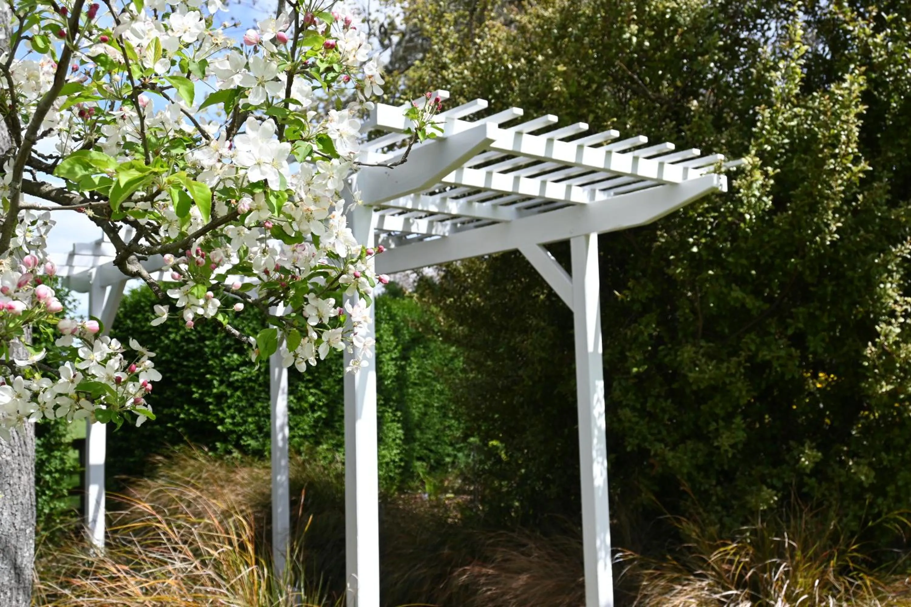 Garden in St Leonards Vineyard Cottages