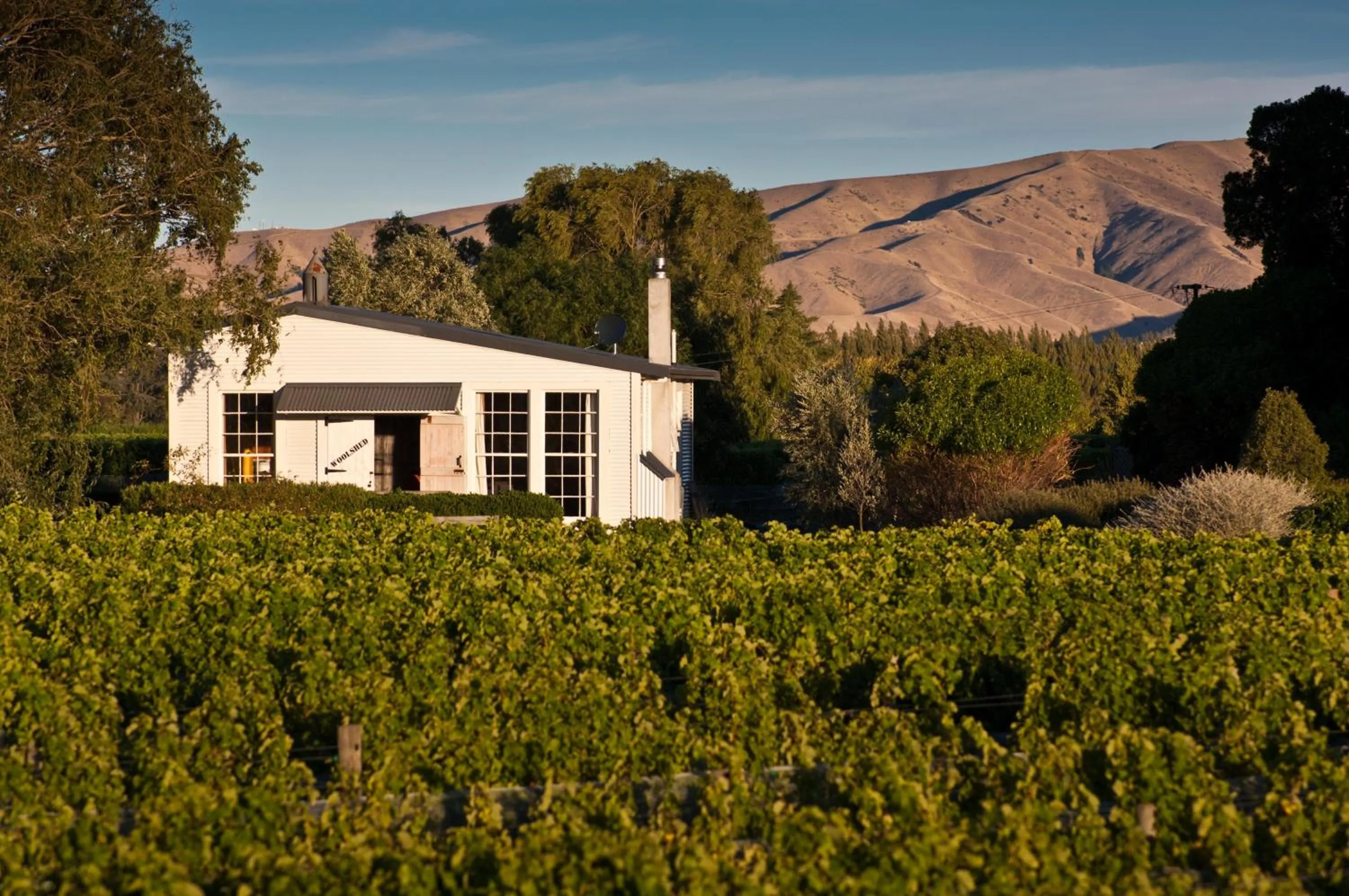 St Leonards Vineyard Cottages
