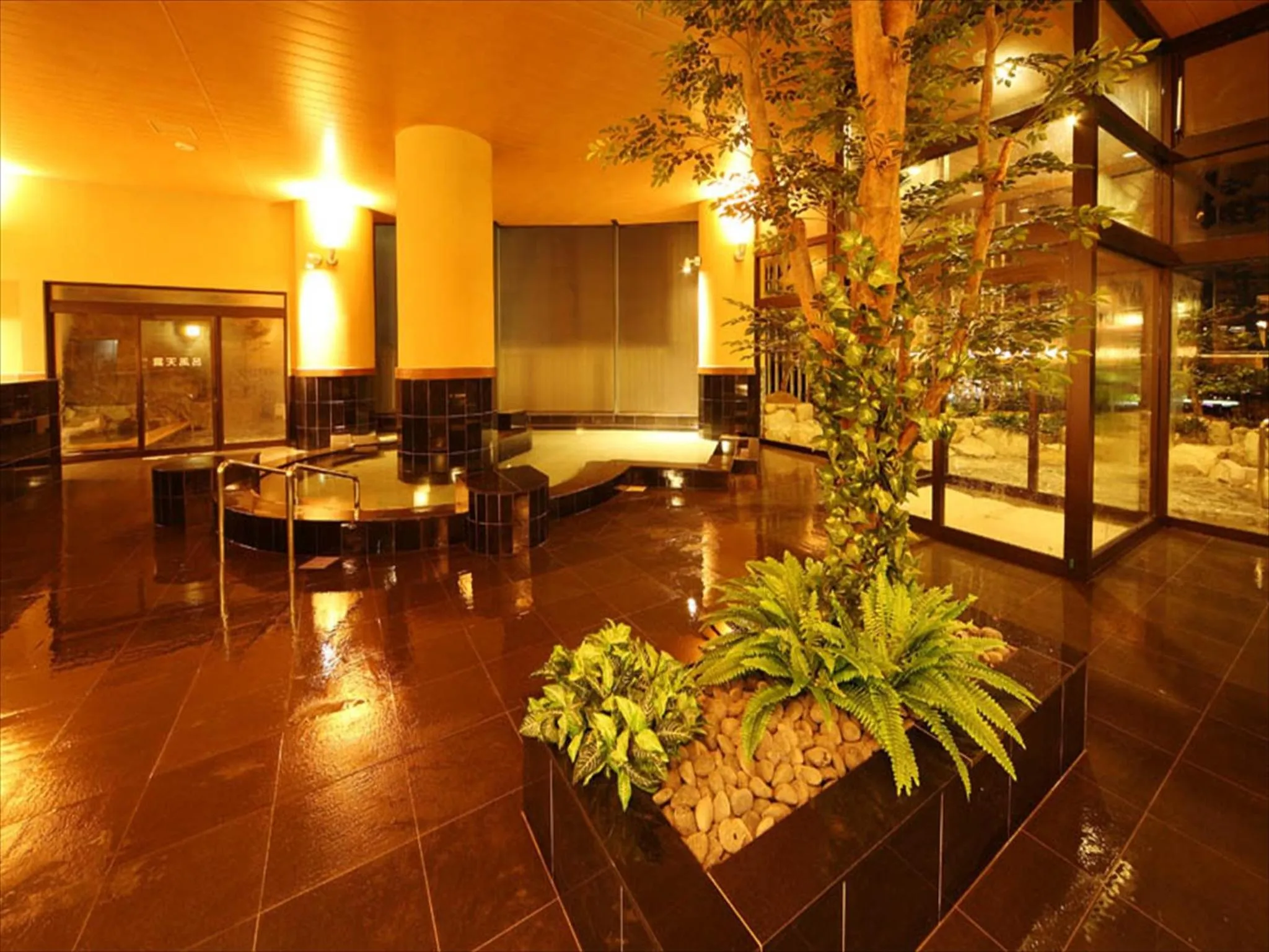 Hot Spring Bath in Hotel Amandi