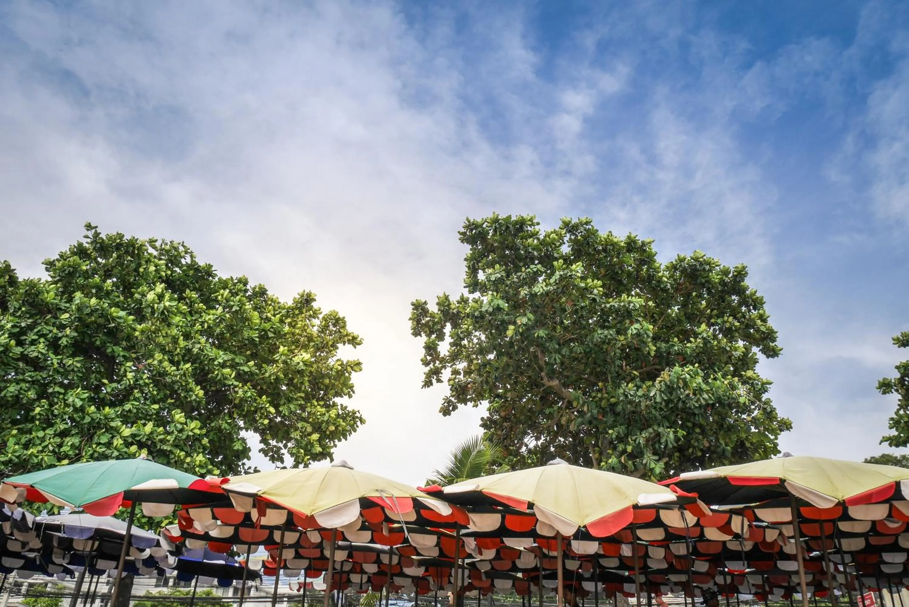 Beach in Villa Navin Beach Residence