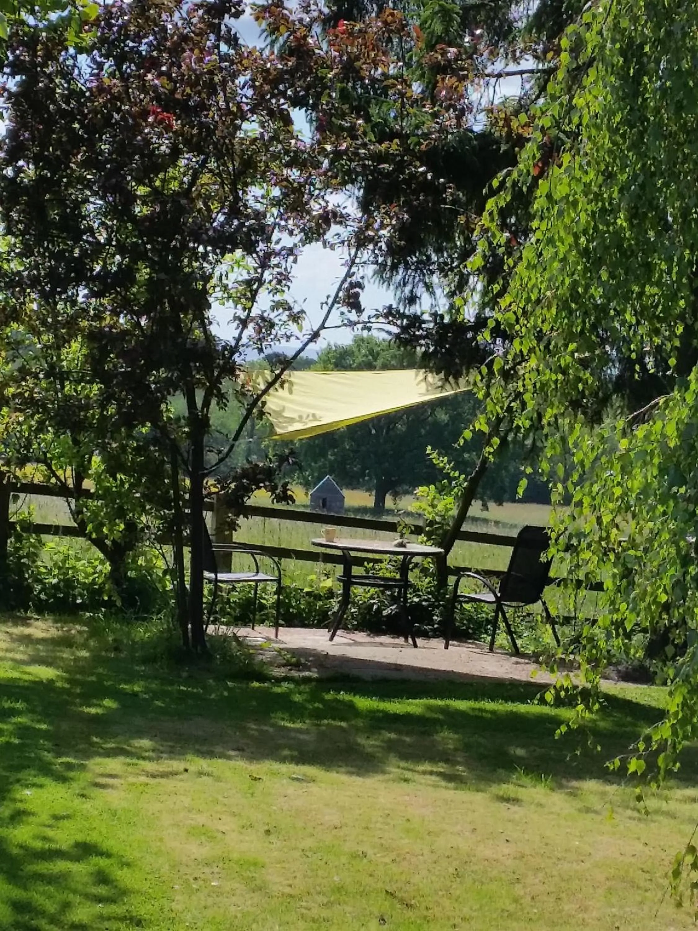 Garden in Blaisdon House B&B