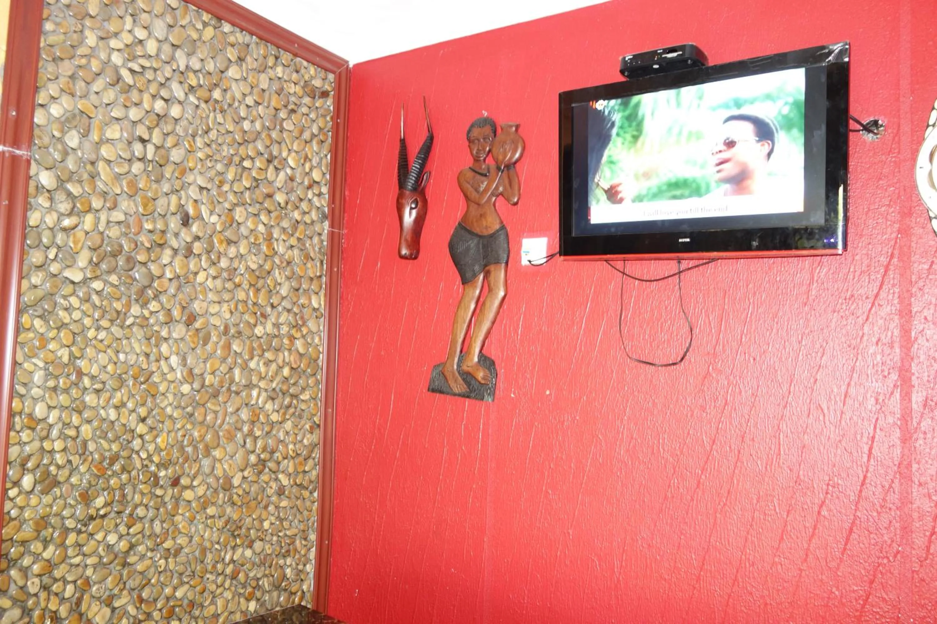 Library in Impala Suites