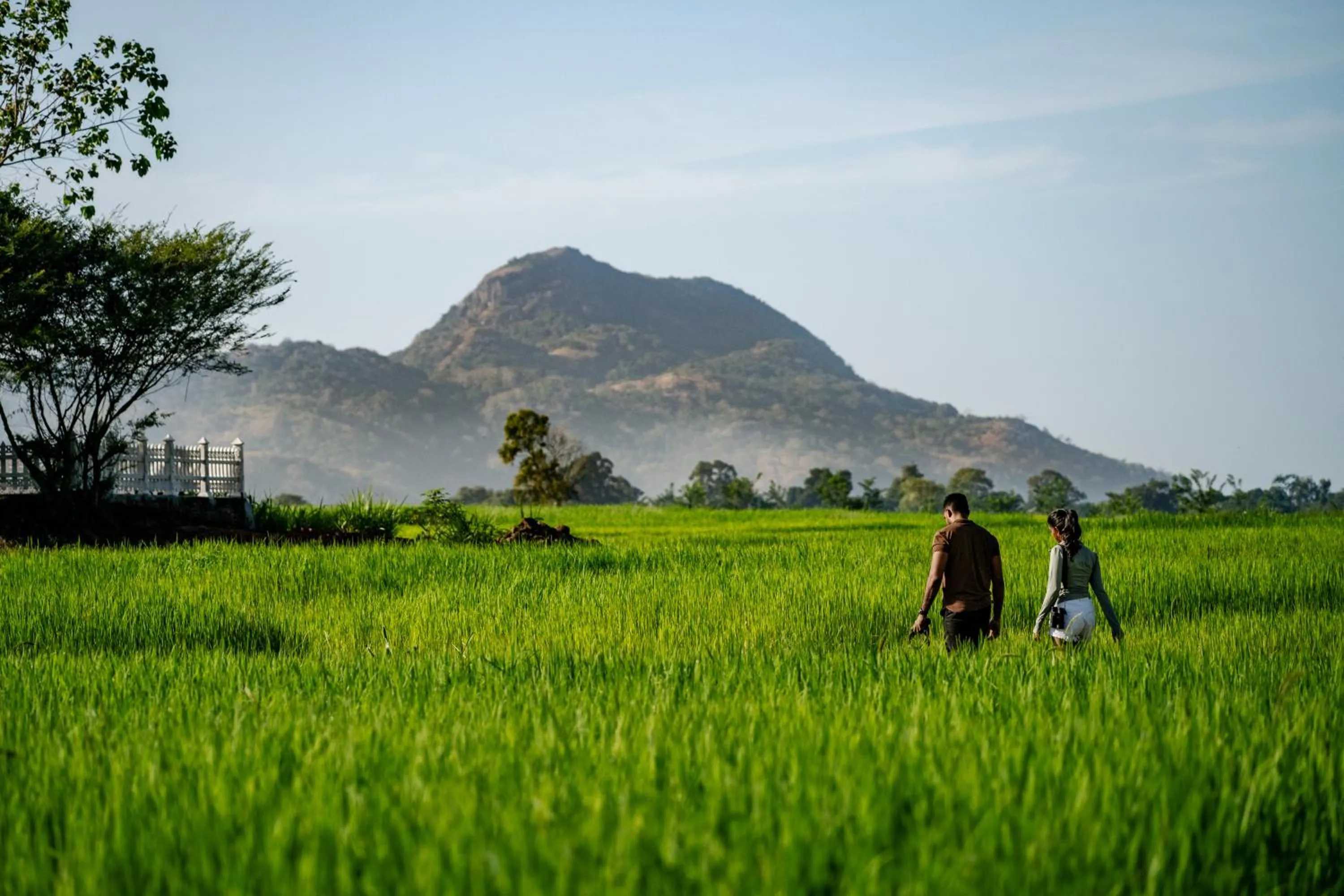 Day in Jetwing Kaduruketha
