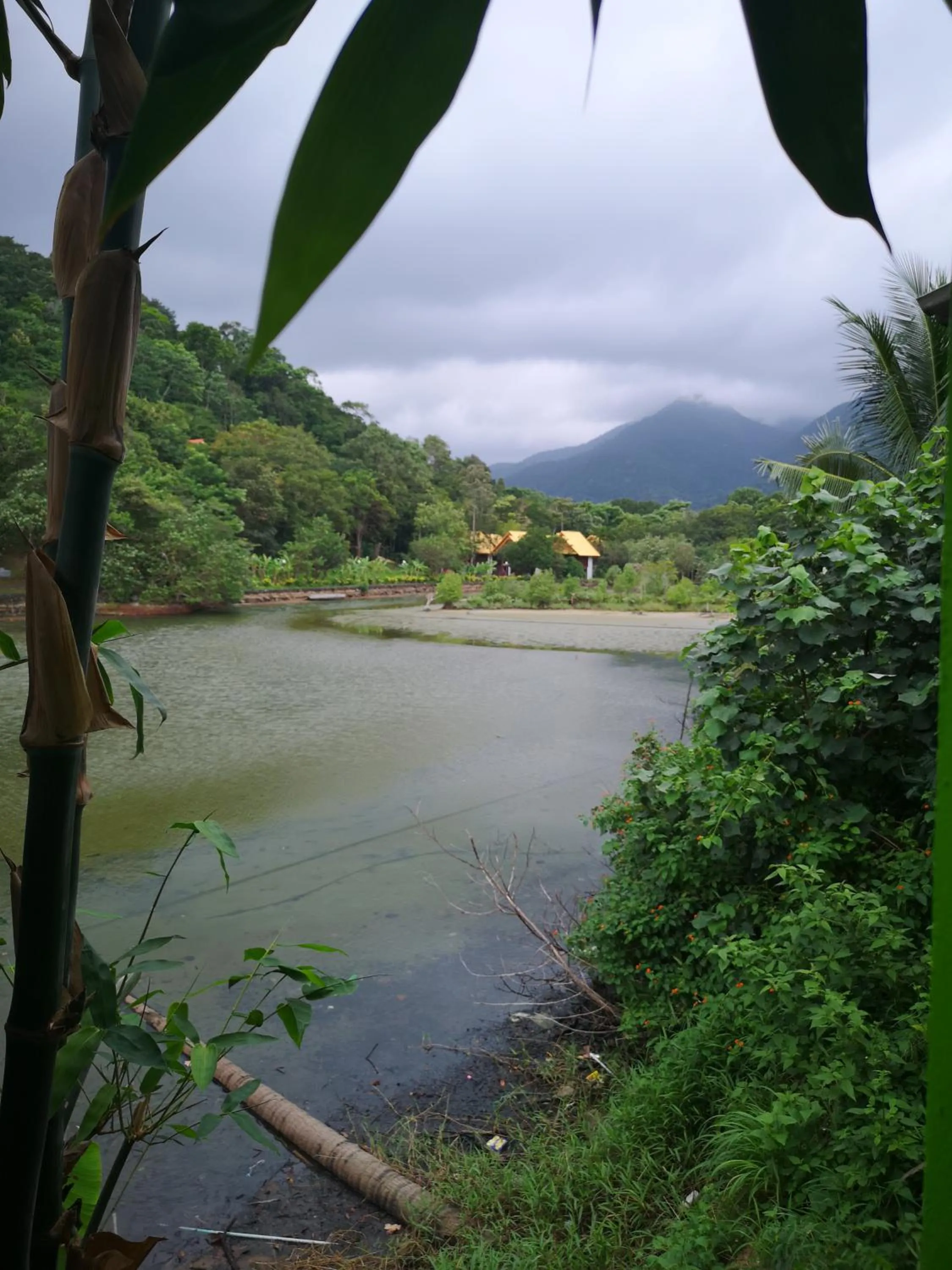 Natural landscape in Yuyu Golden Beach