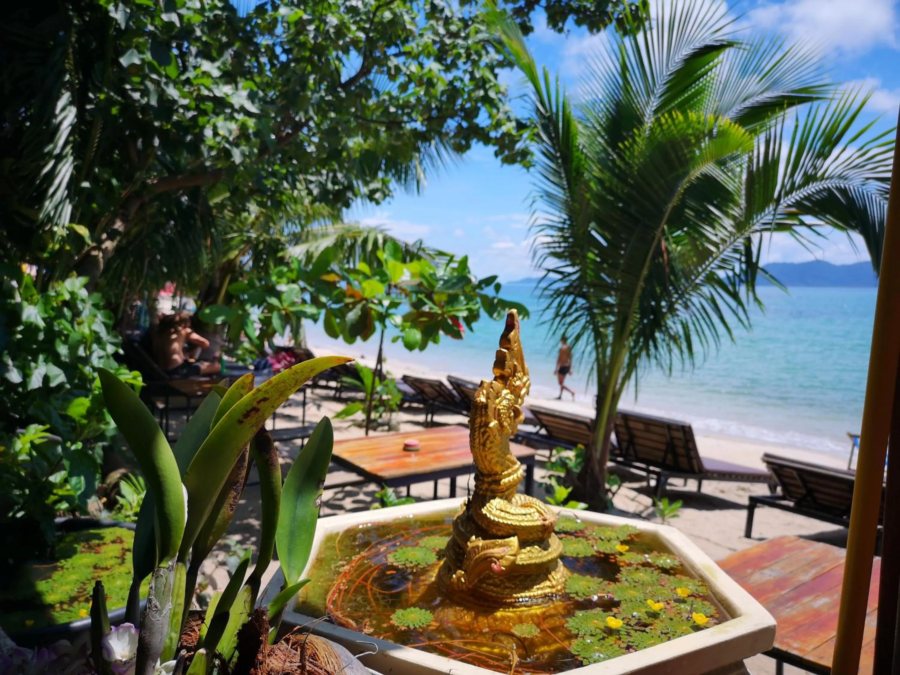 Food and drinks in Yuyu Golden Beach