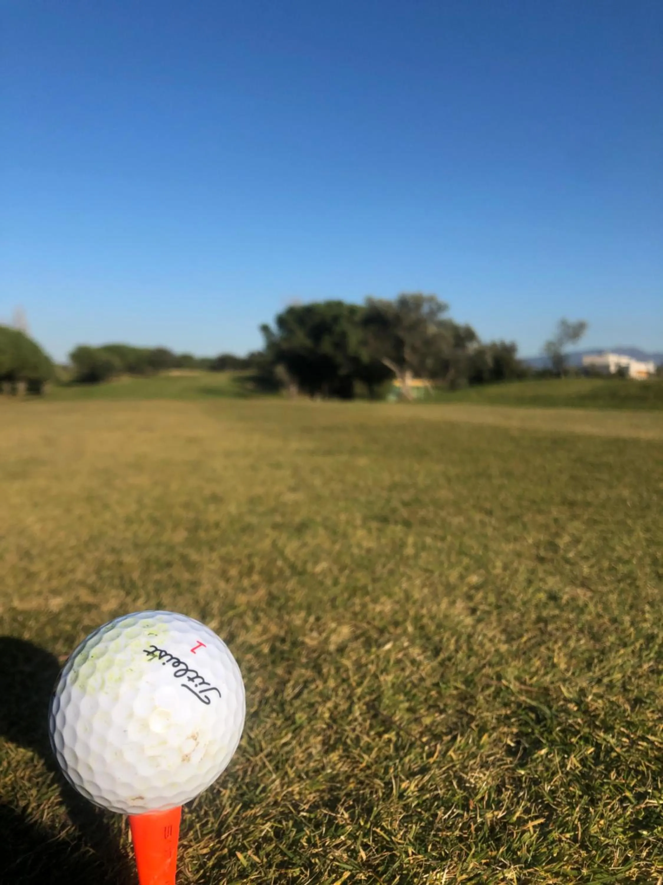 Golfcourse in 514 Appart Hotel