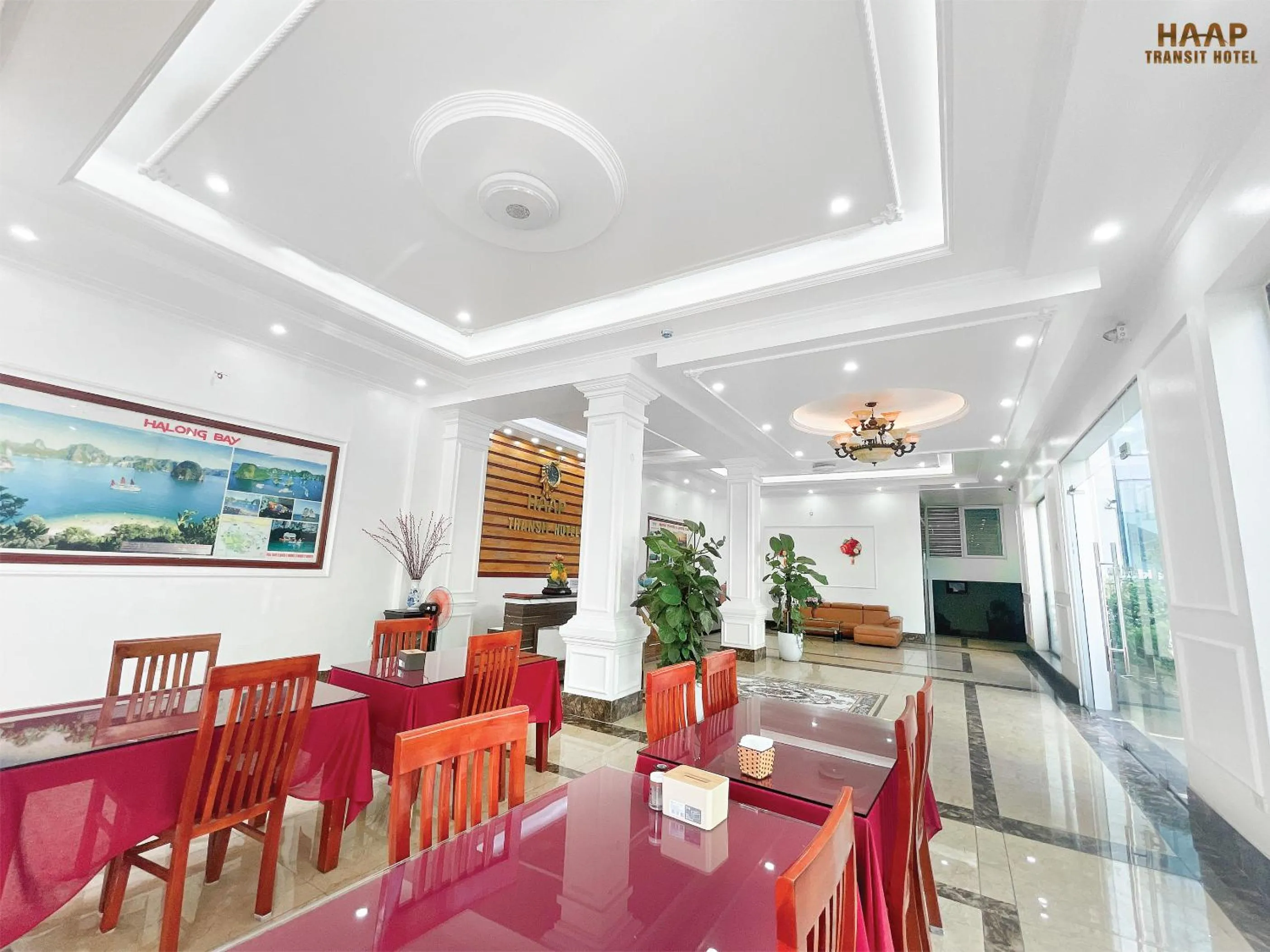 Restaurant/places to eat in HAAP Transit Hotel