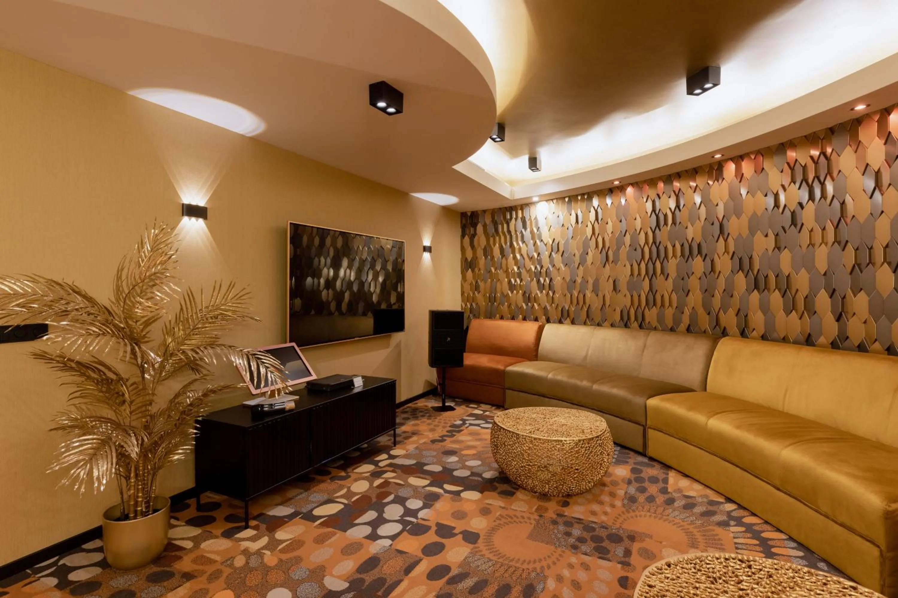 Karaoke in Shanghai Hotel Holland