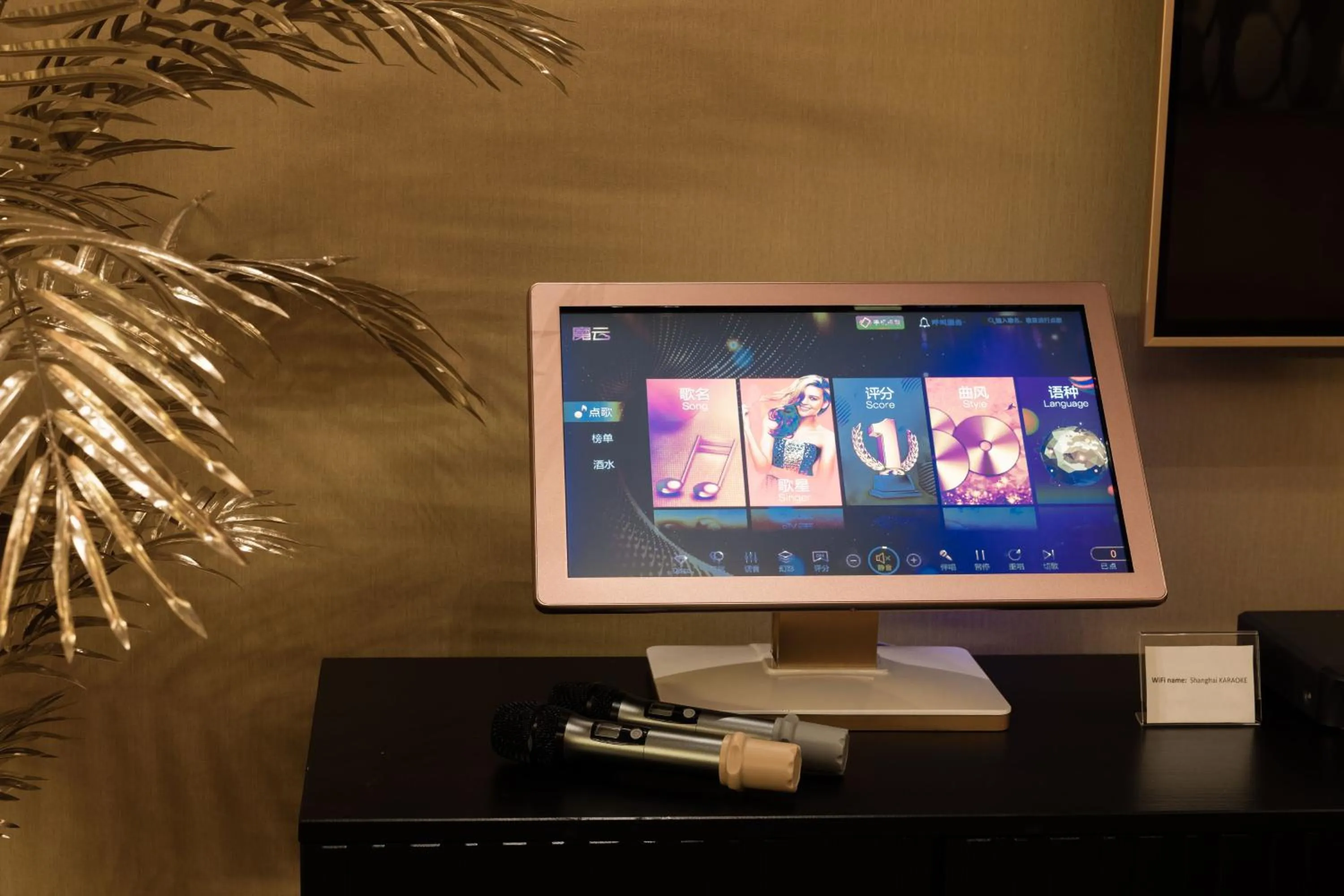 Karaoke in Shanghai Hotel Holland