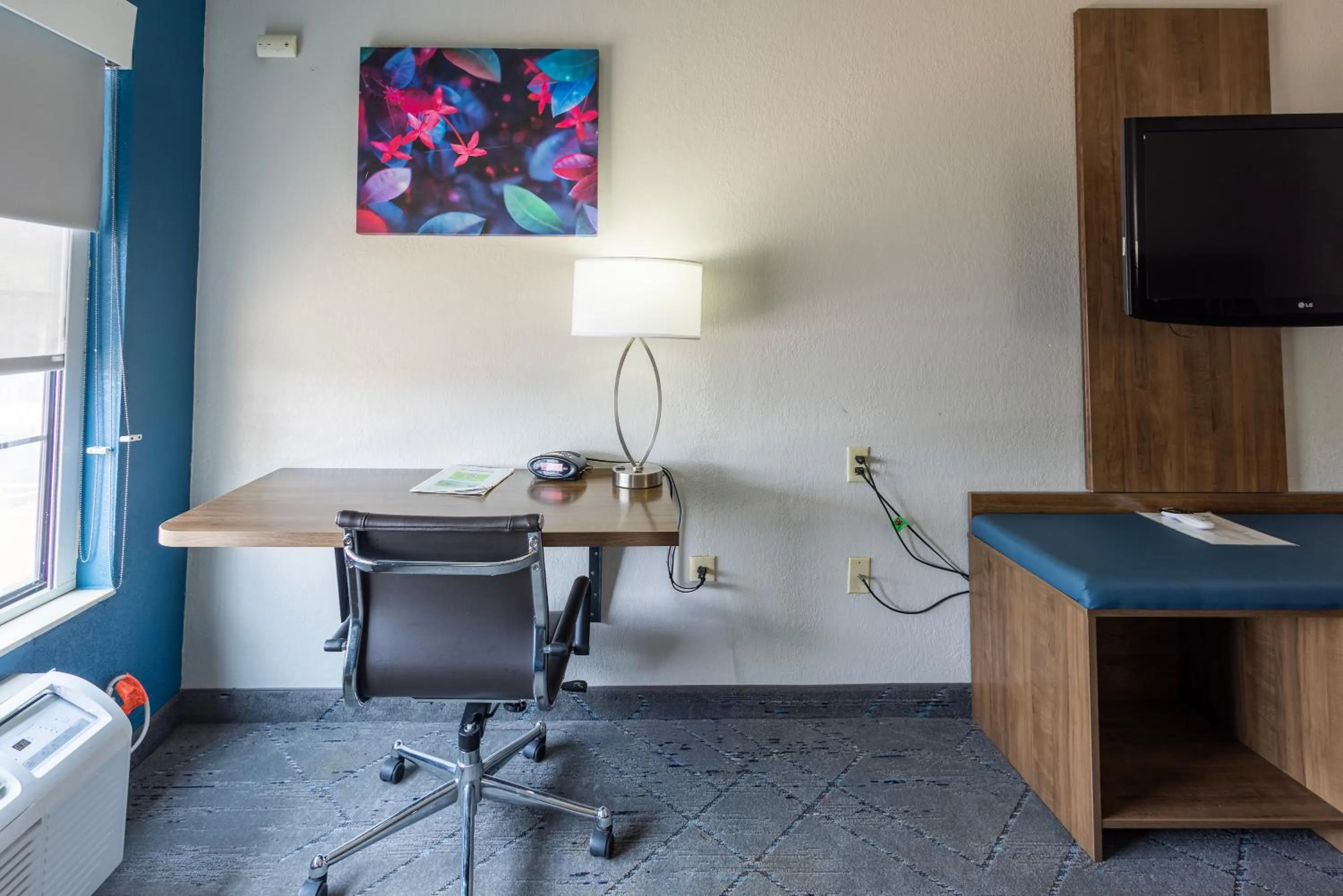 TV and multimedia in Countryside Inn and Suites