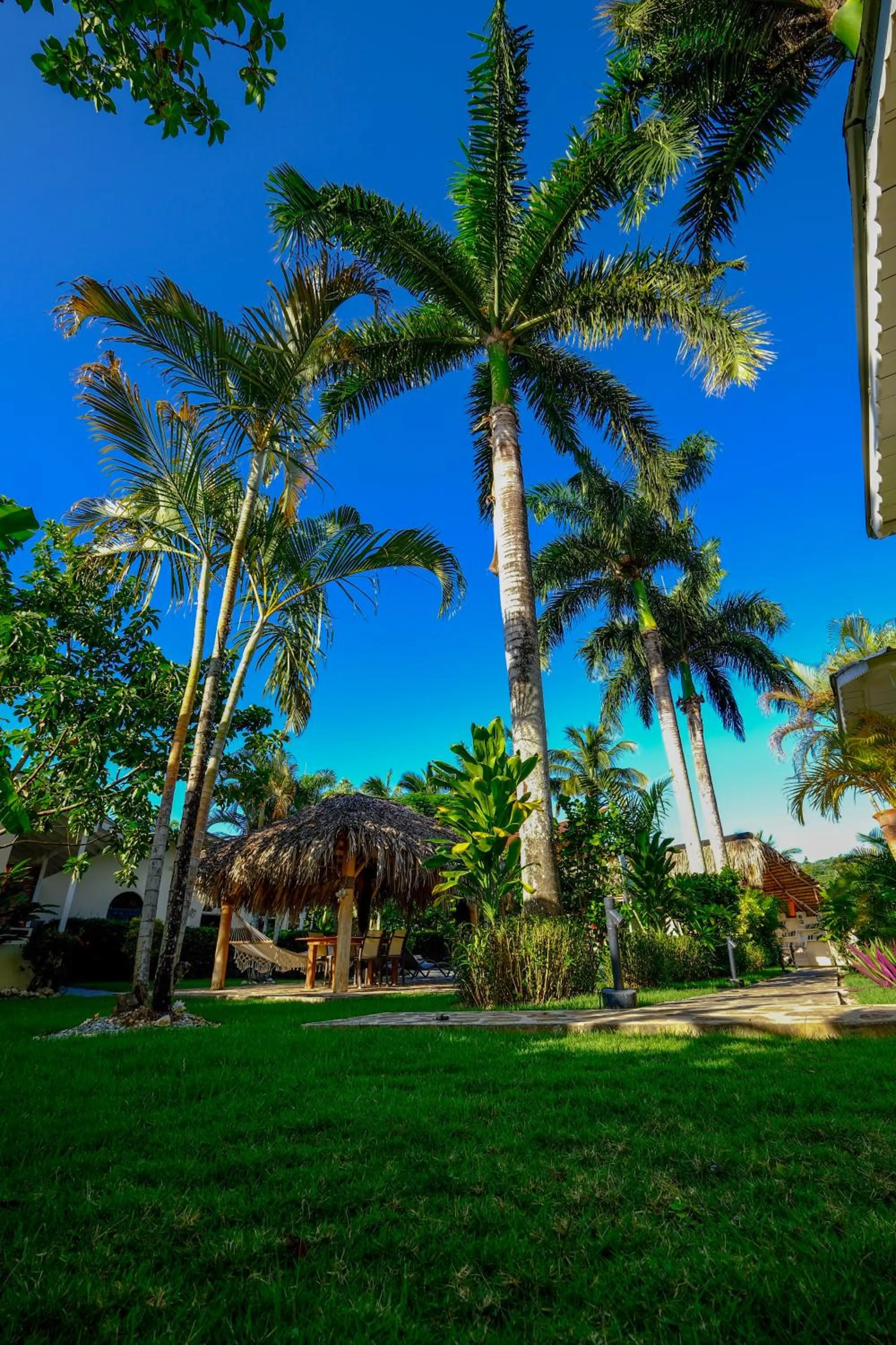 Patio in Hotel Enjoy