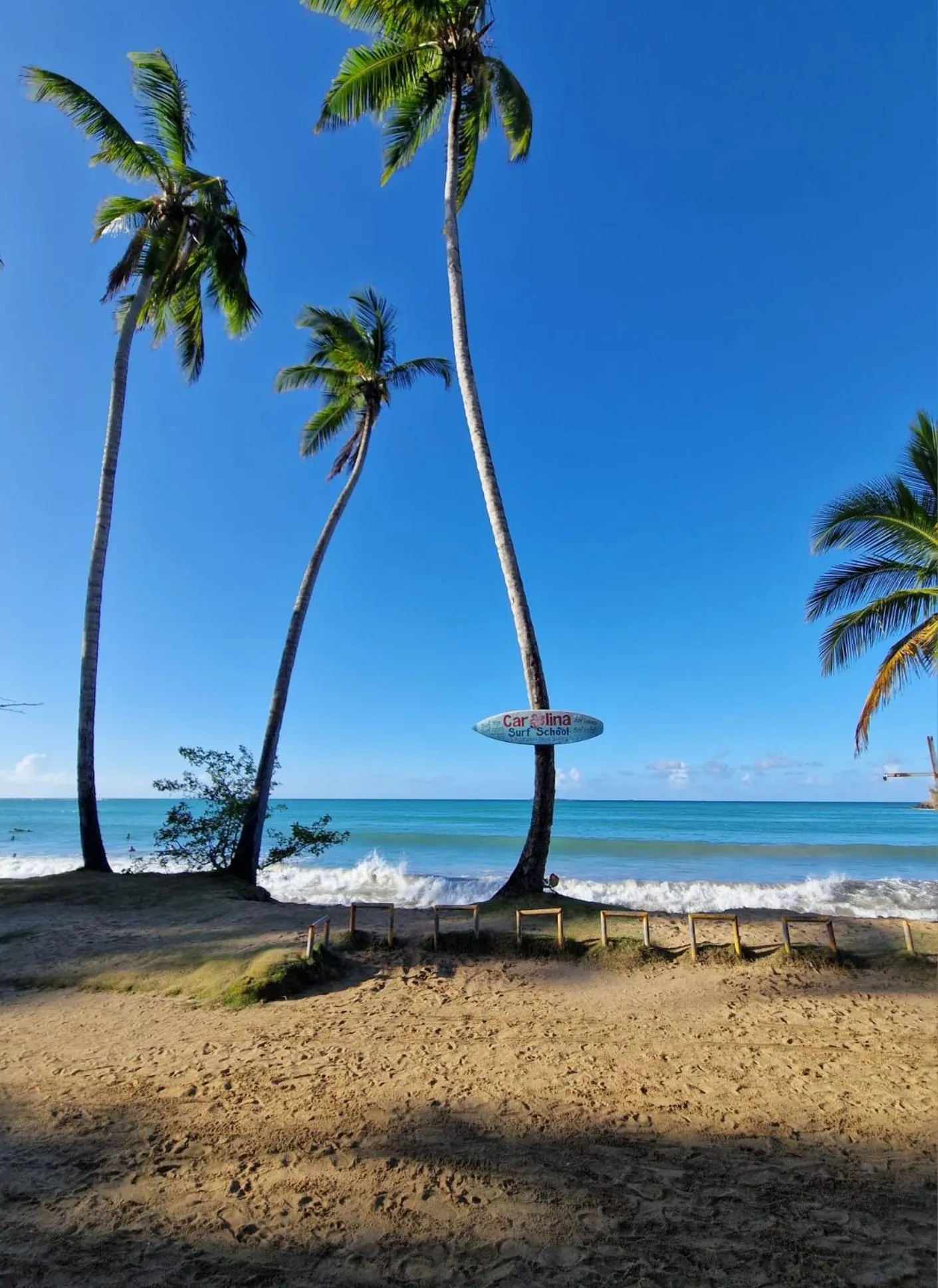 Beach in Hotel Enjoy
