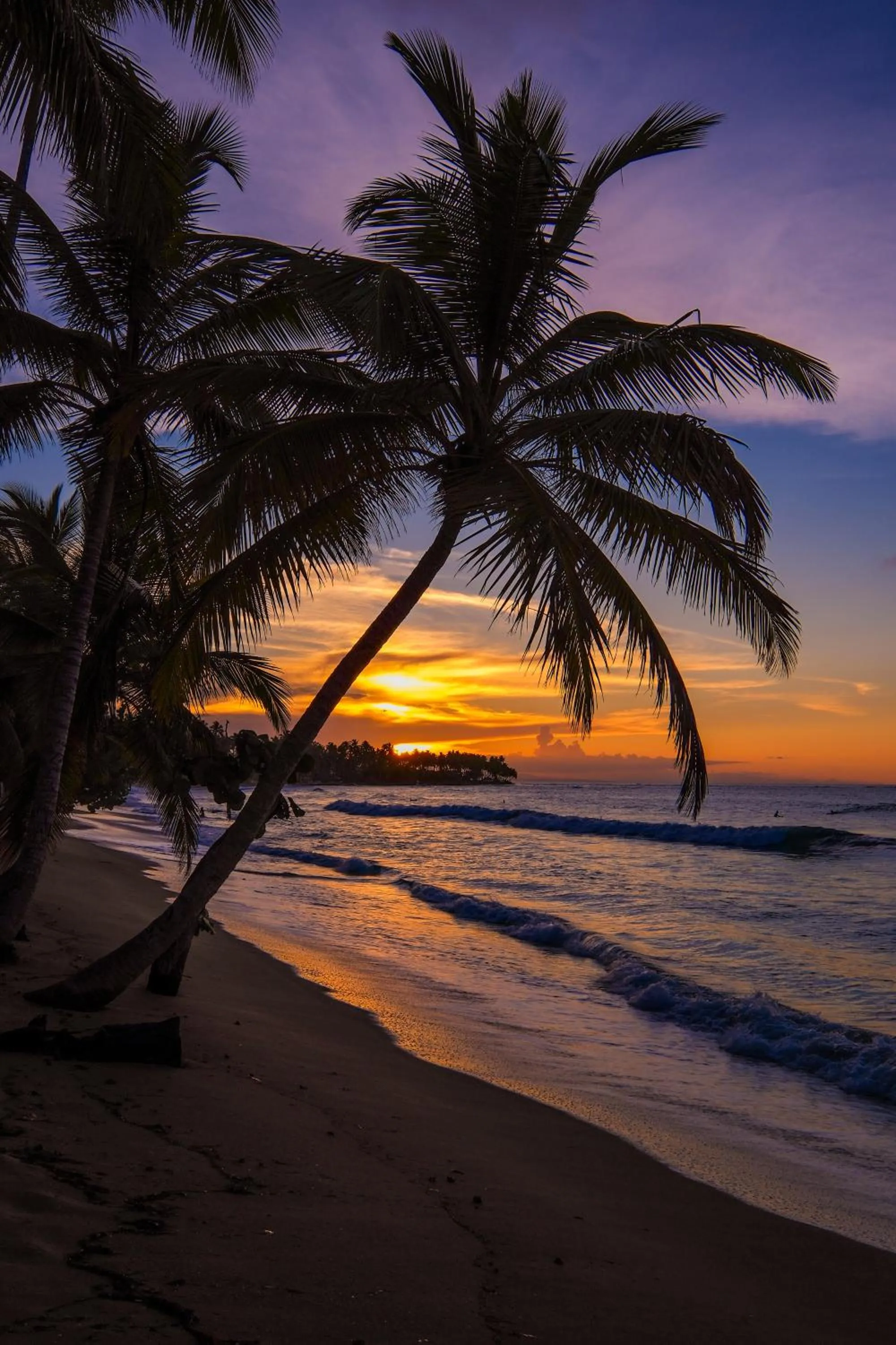 Nearby landmark in Hotel Enjoy