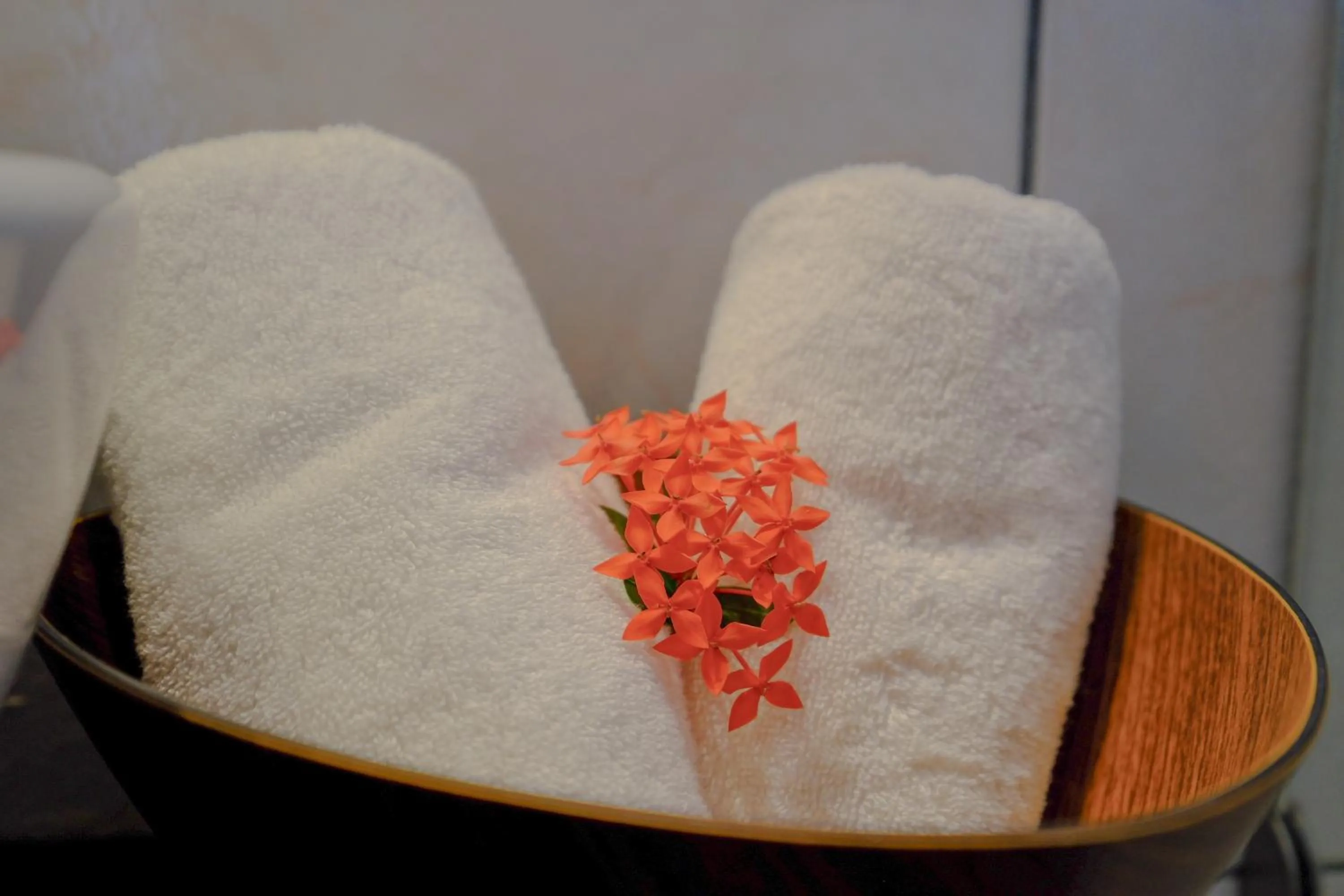 towels in Hotel Enjoy