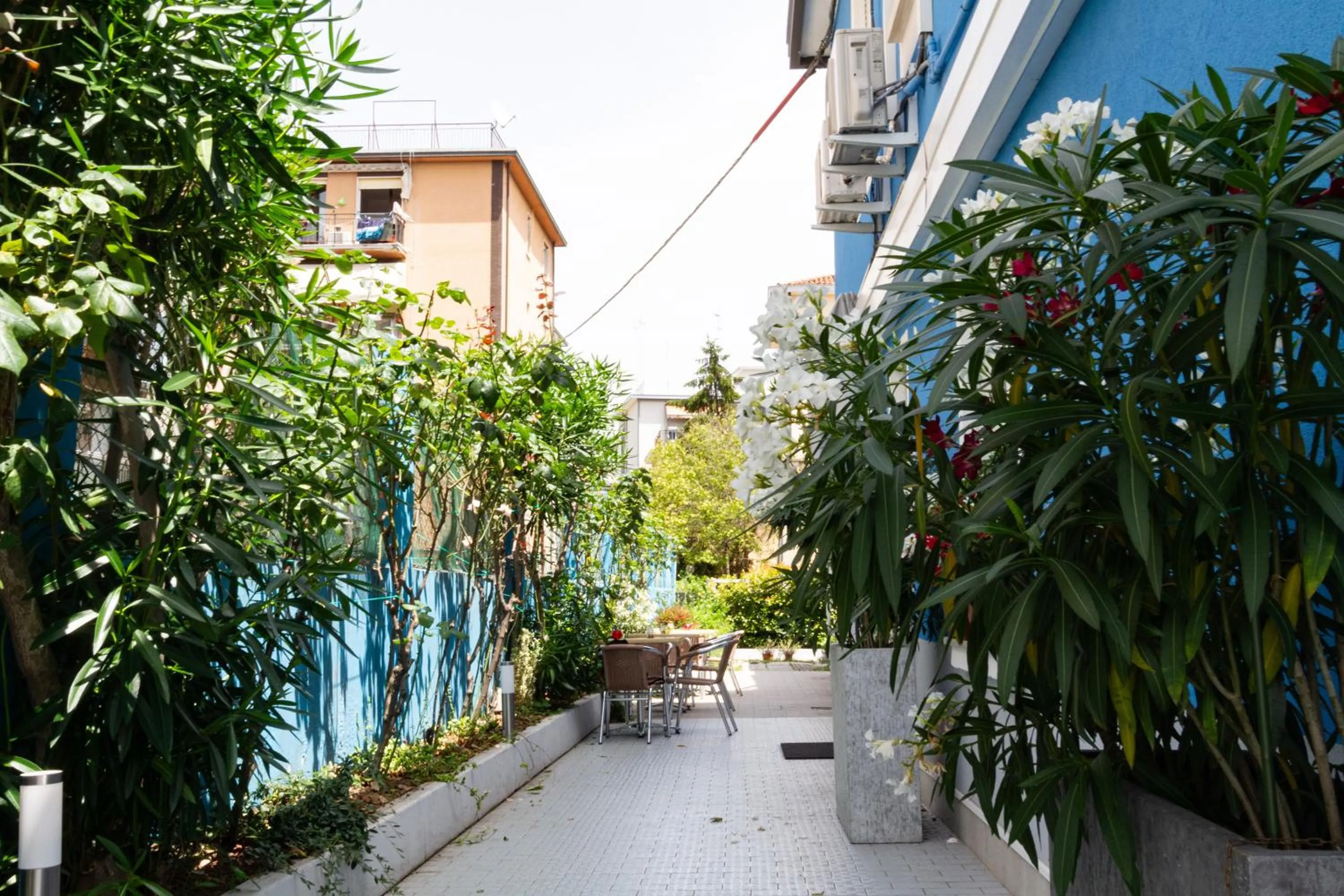 Garden view in Hotel Guidi