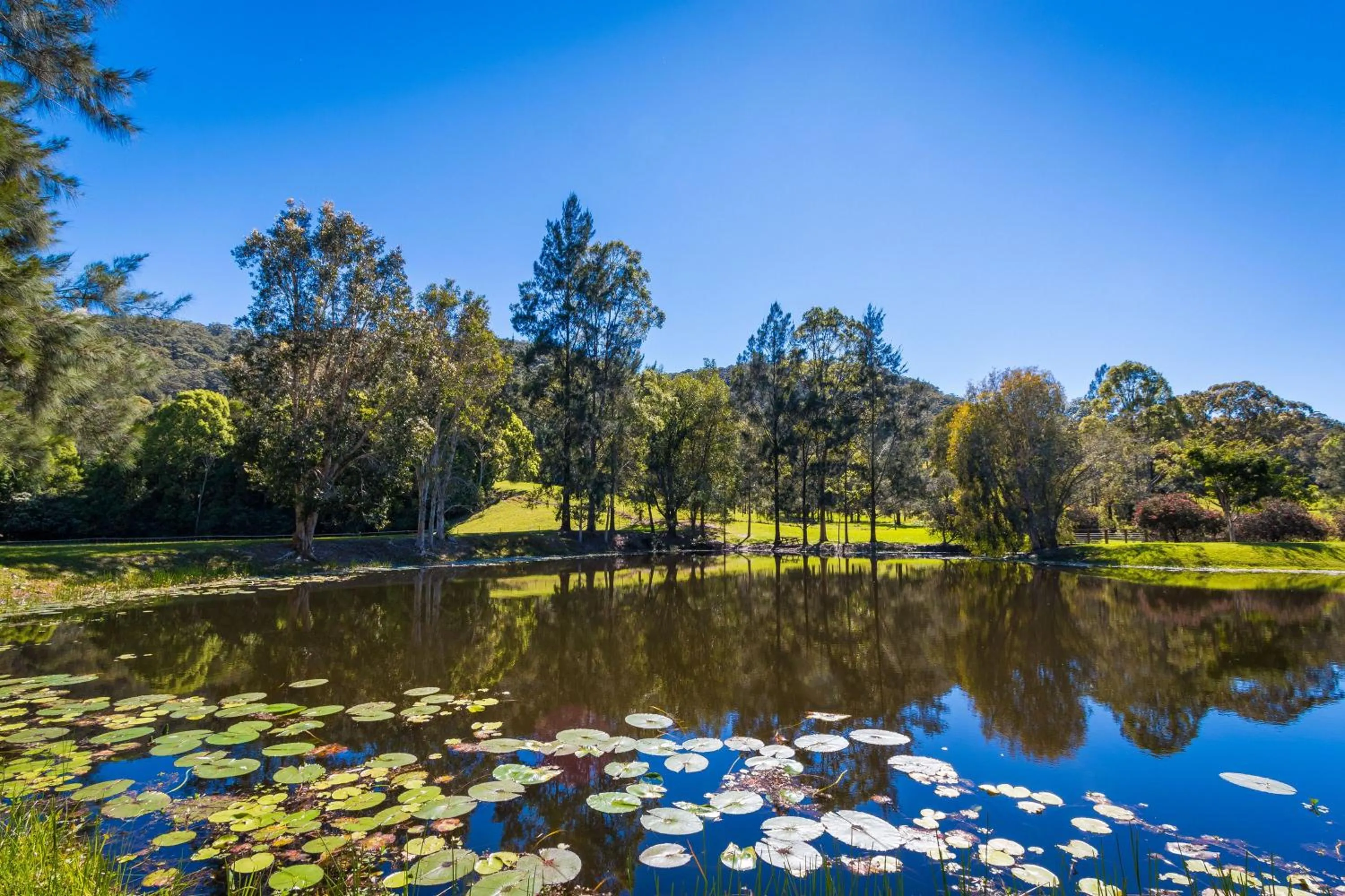 Garden in Friday Creek Retreat