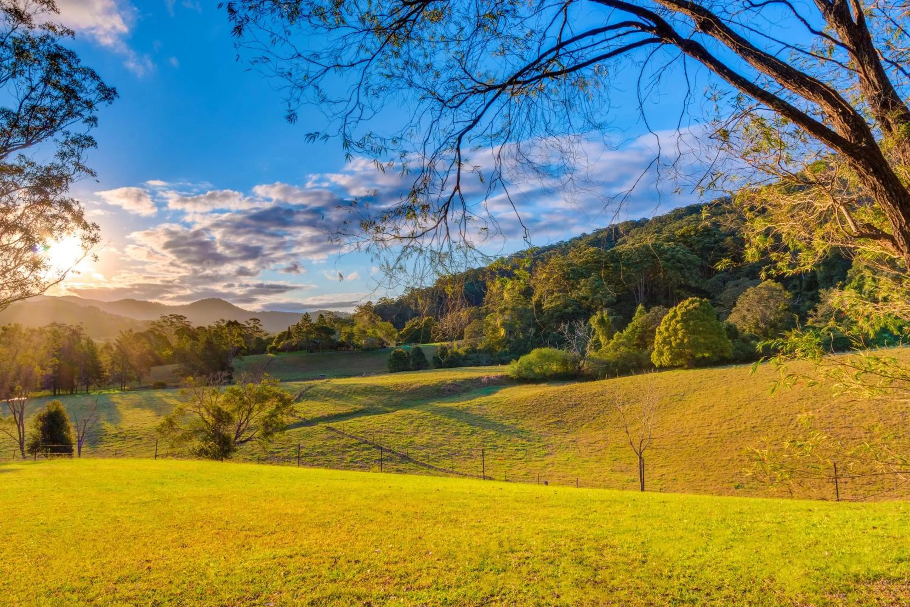 Garden in Friday Creek Retreat
