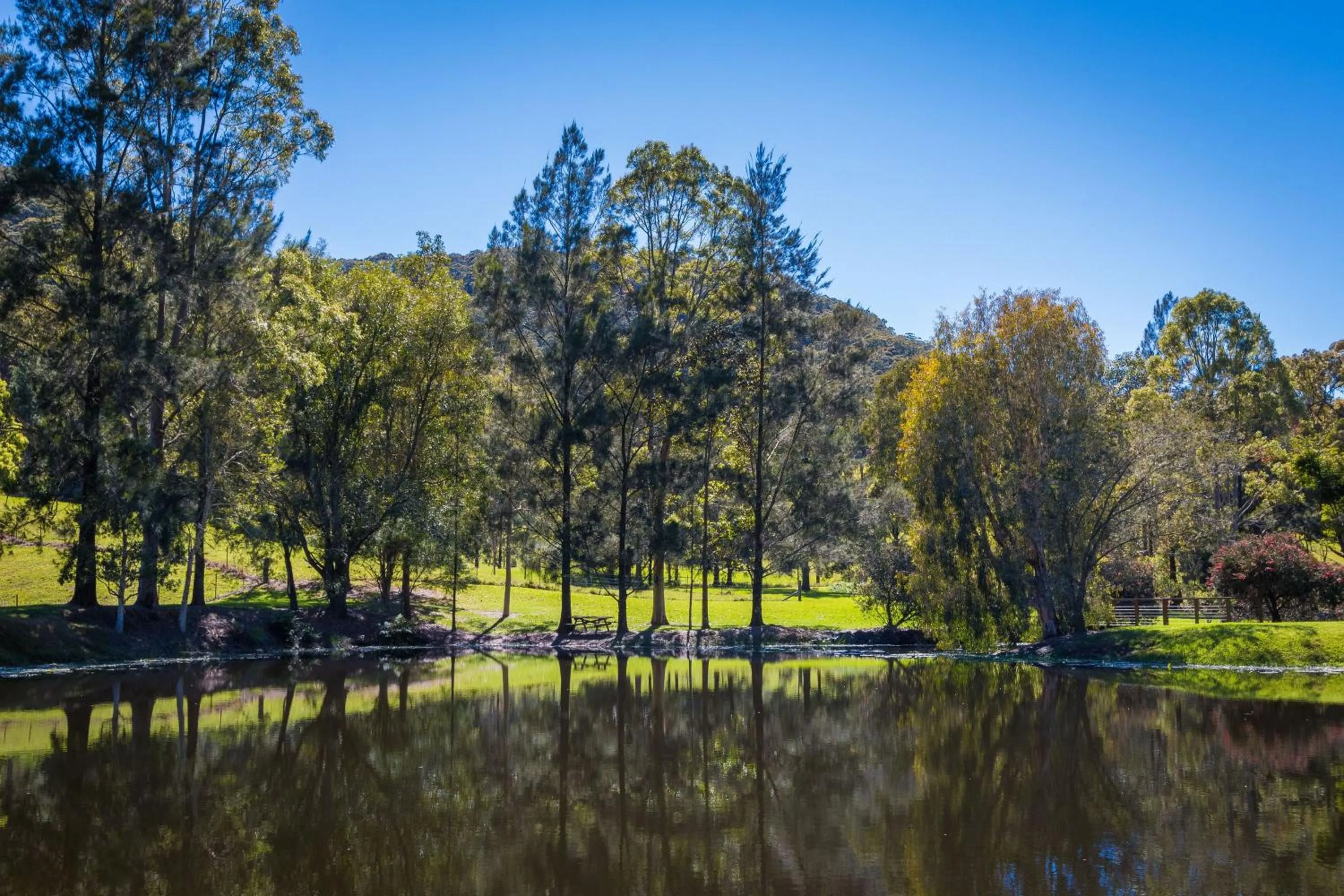Garden in Friday Creek Retreat