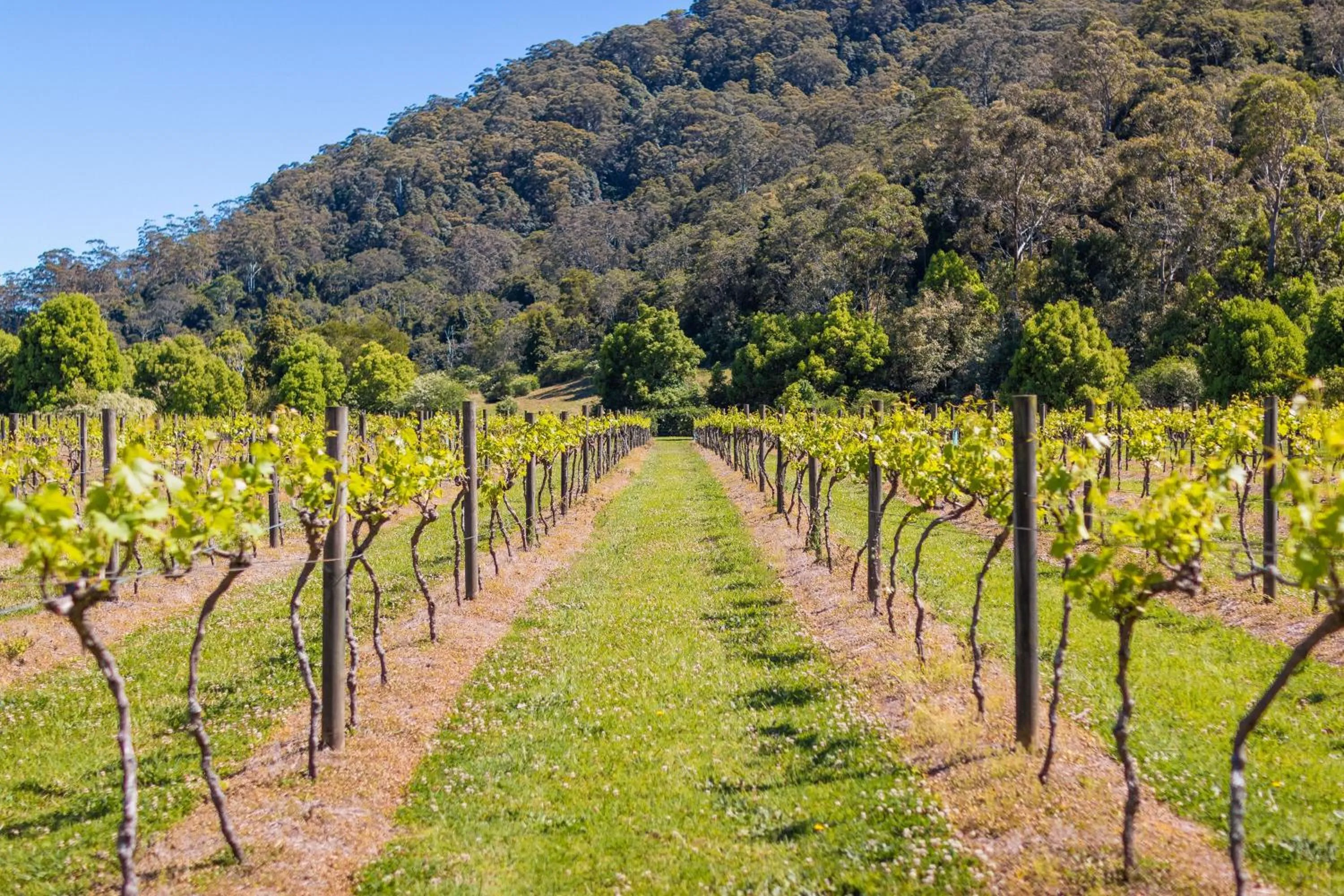 Garden in Friday Creek Retreat