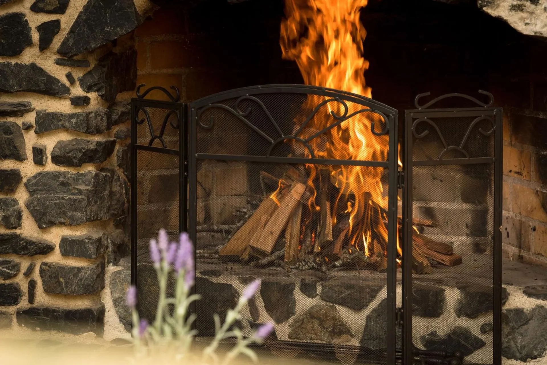 Living room in Friday Creek Retreat