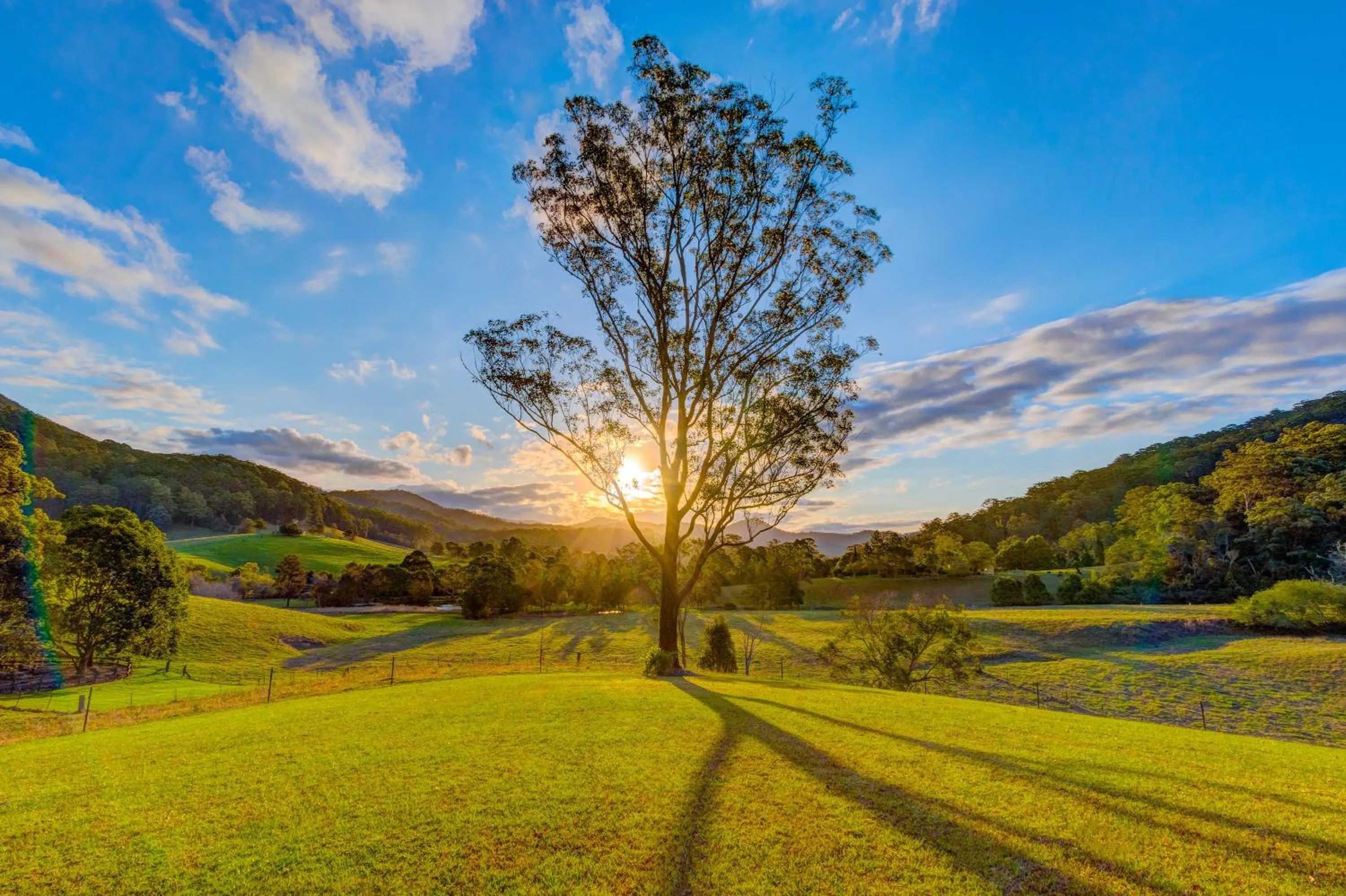 Garden in Friday Creek Retreat