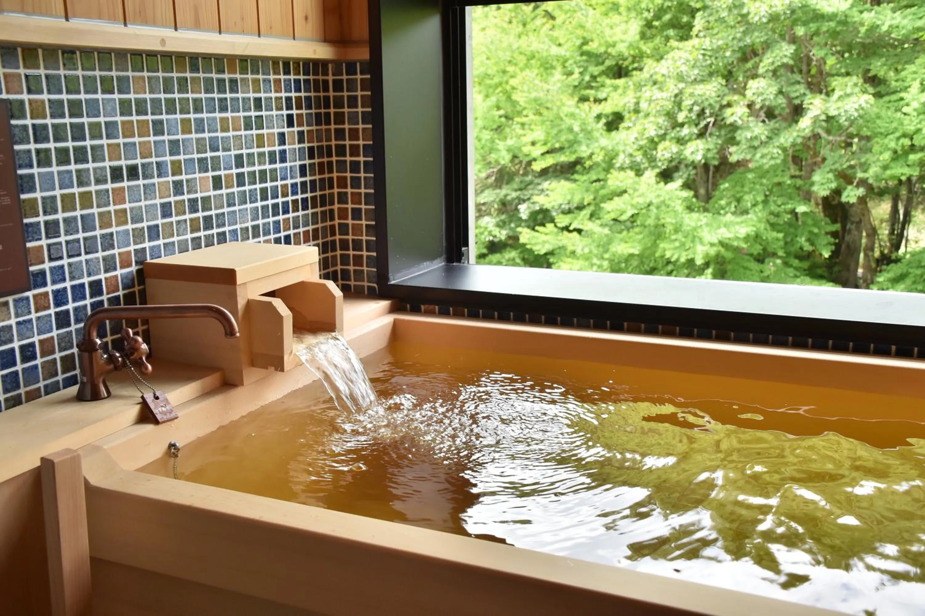 Hot Spring Bath in La Vista Akangawa