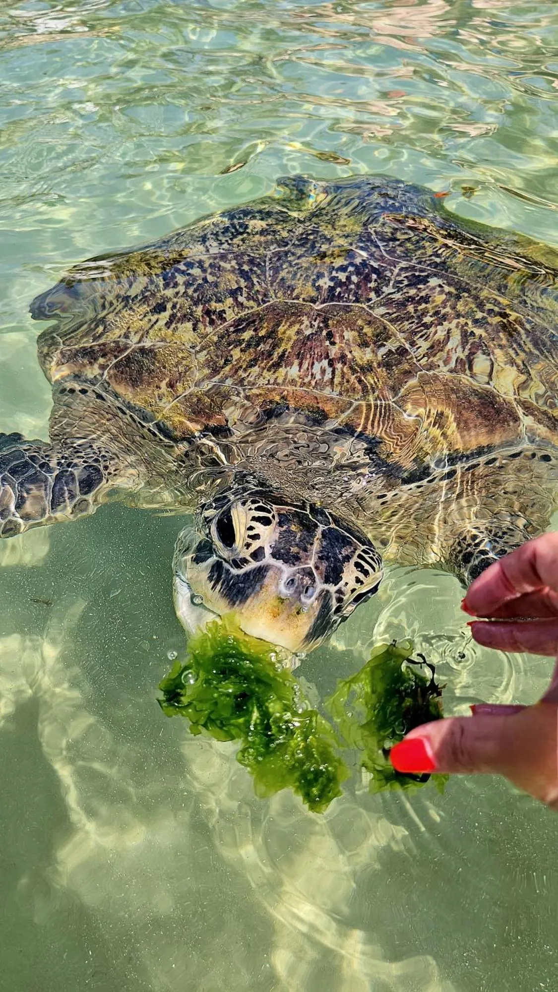 Activities in Green Hill Paradise Villa