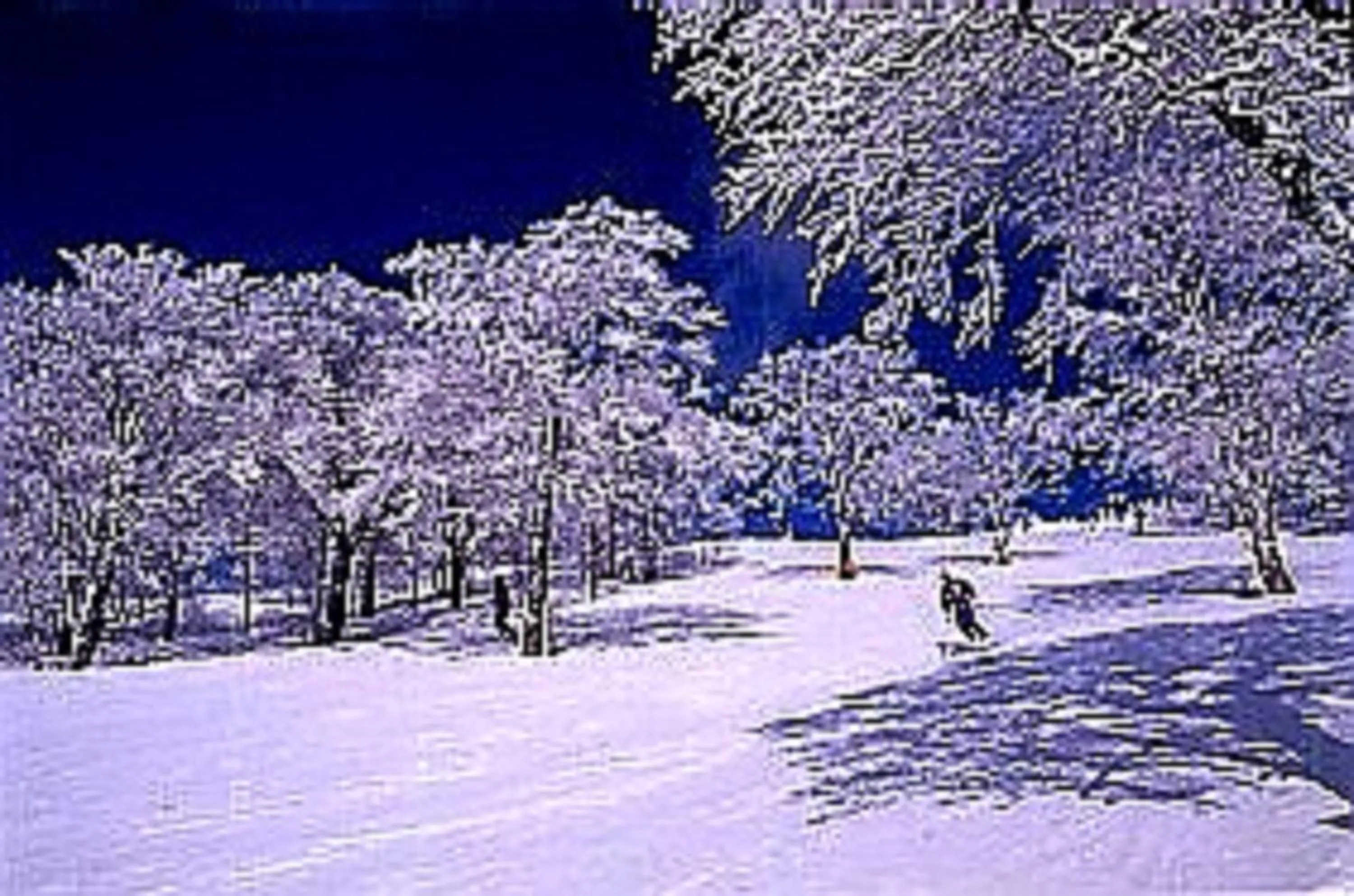 Winter in Hotel De Premiere Minowa