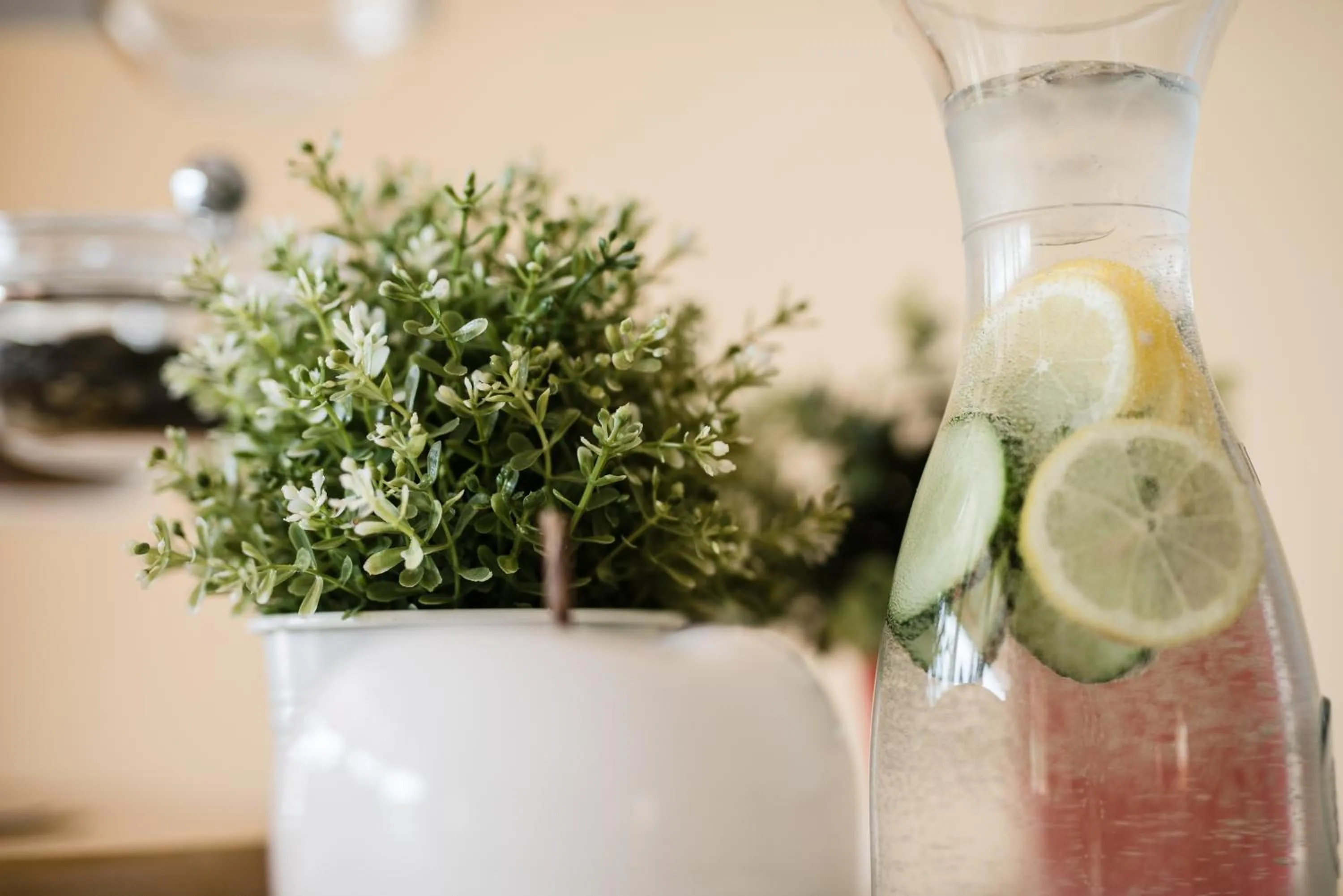 Drinks in JUFA Hotel Stubenbergsee