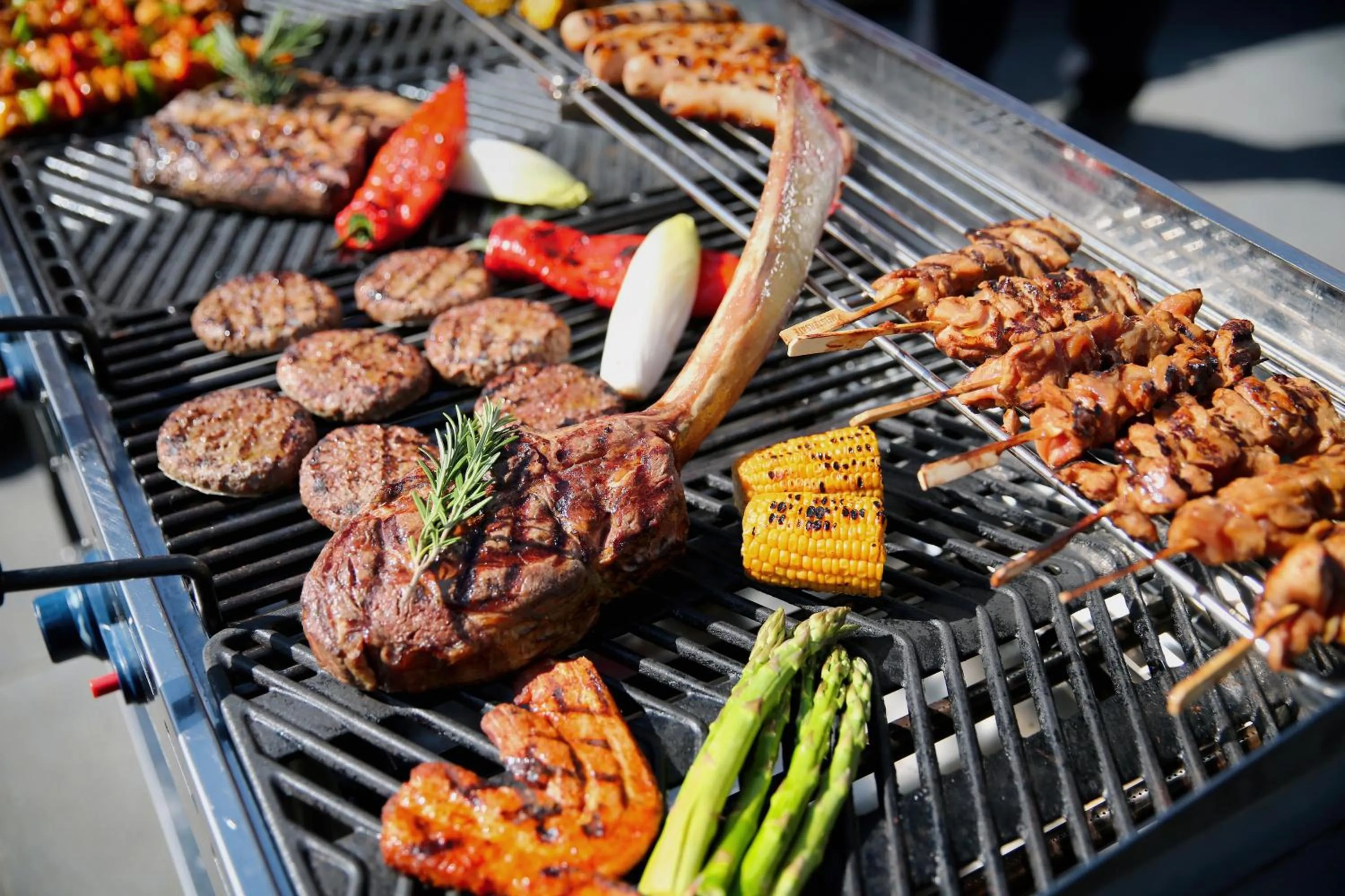 BBQ facilities in Van der Valk Hotel Rotterdam - Blijdorp