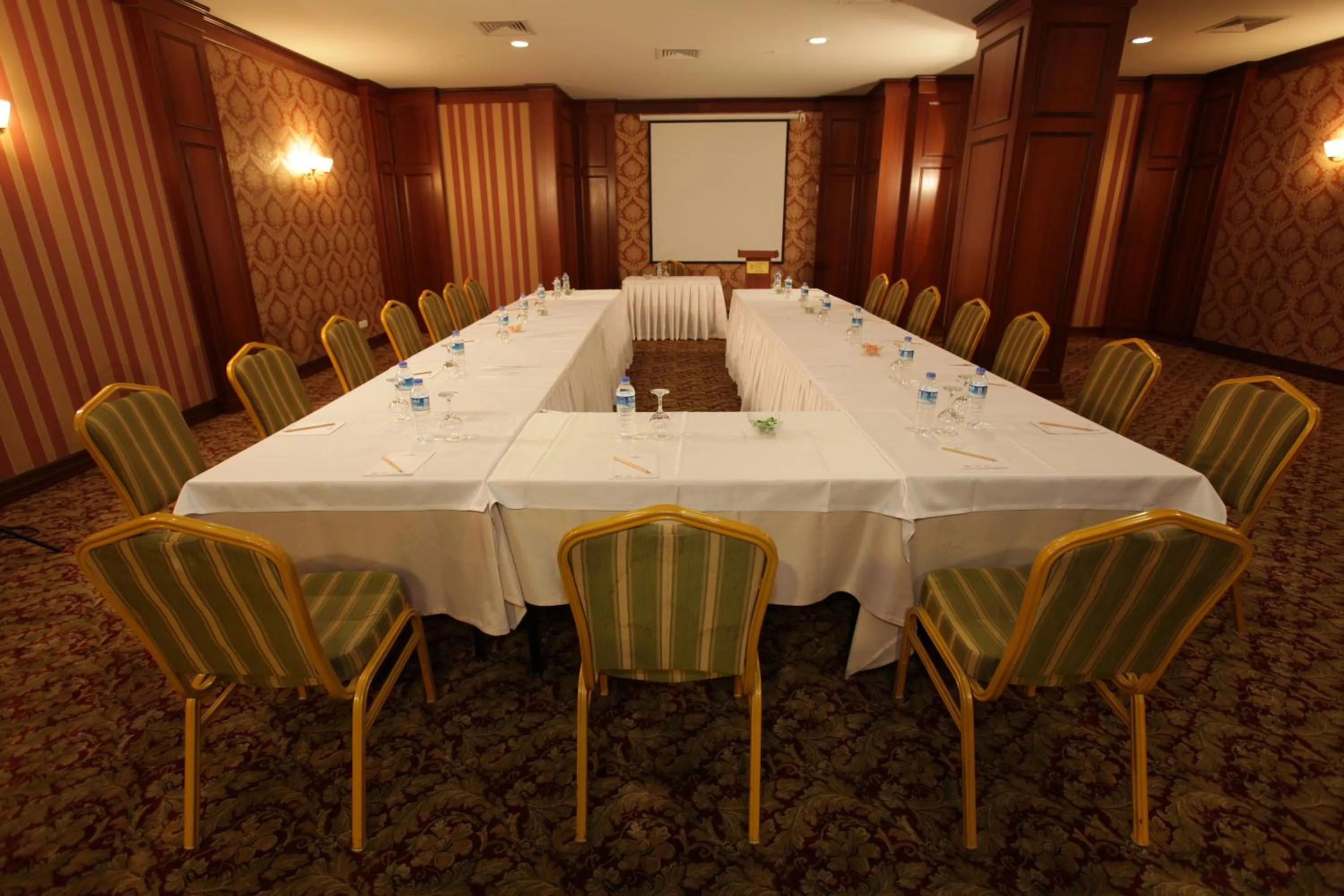 Business facilities in Nova Plaza Orion Hotel